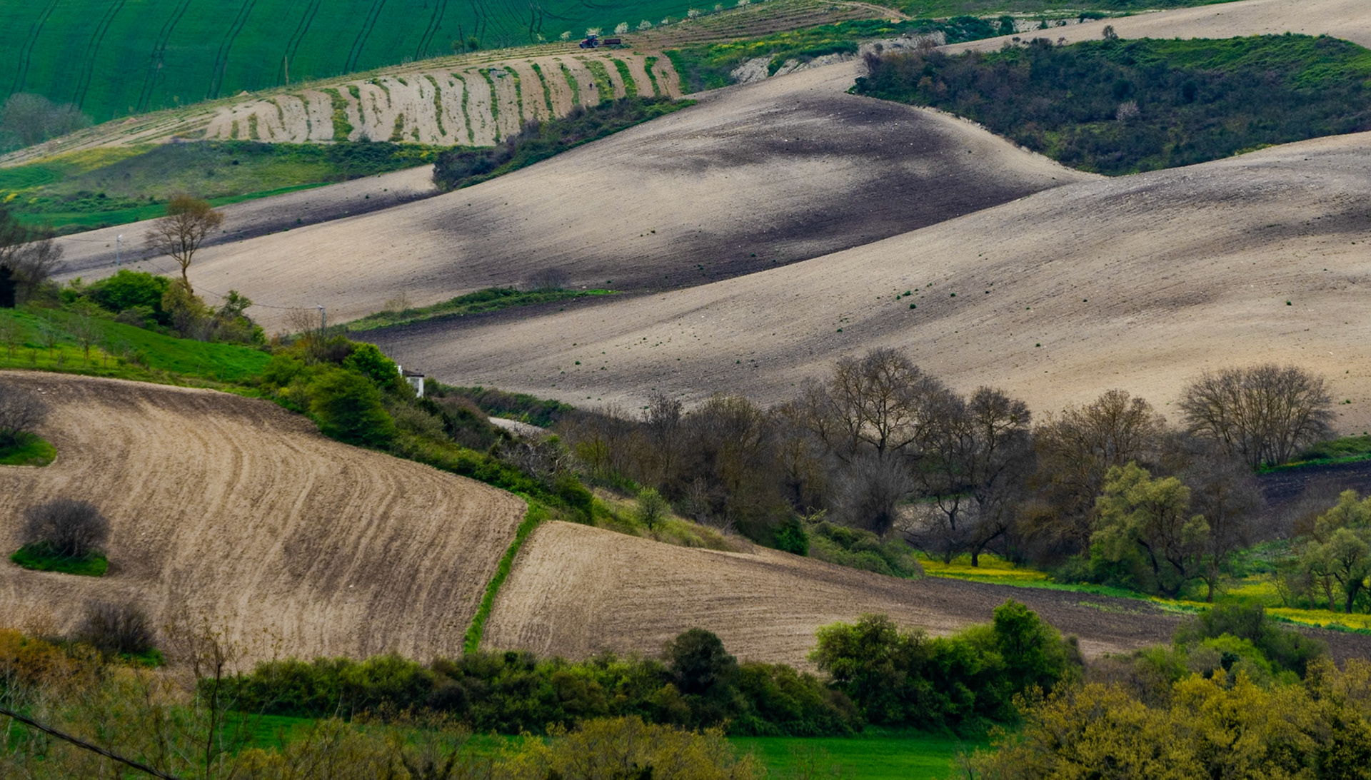between Terkos and Boyalık: curving fields