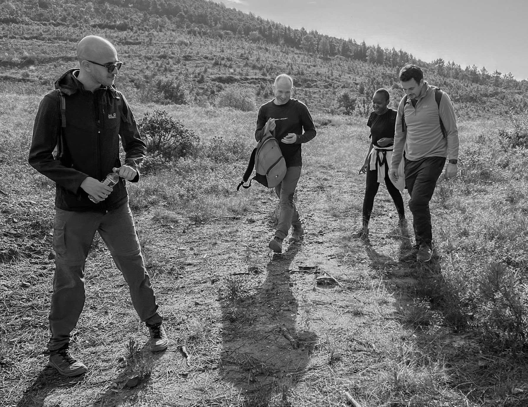 Nazik forest: hiking through recently-cleared forest