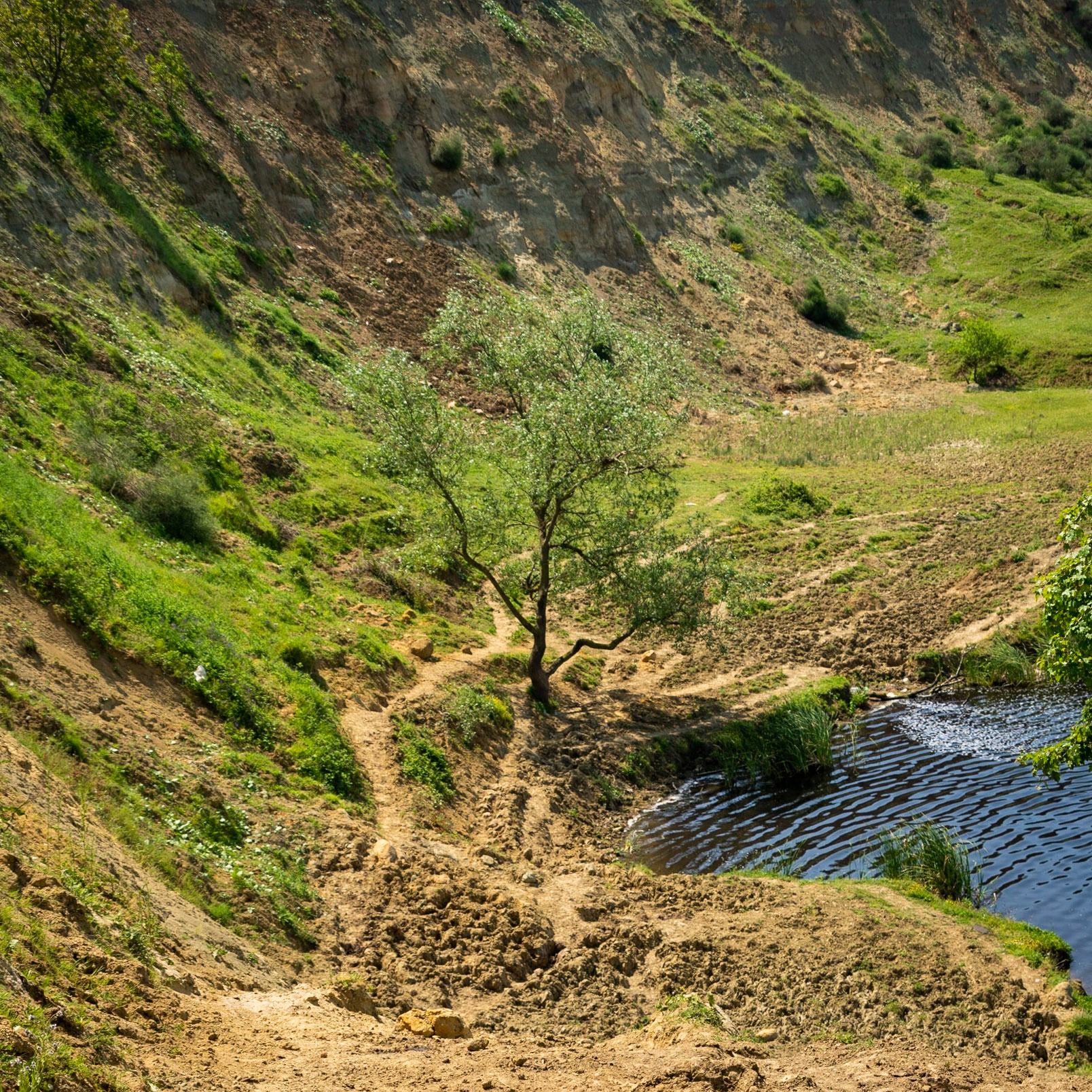 Yeniköy: the pond