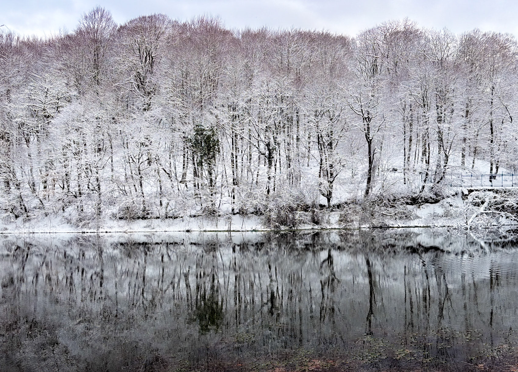 Valide Sultan reservoir: reflected snowy trees