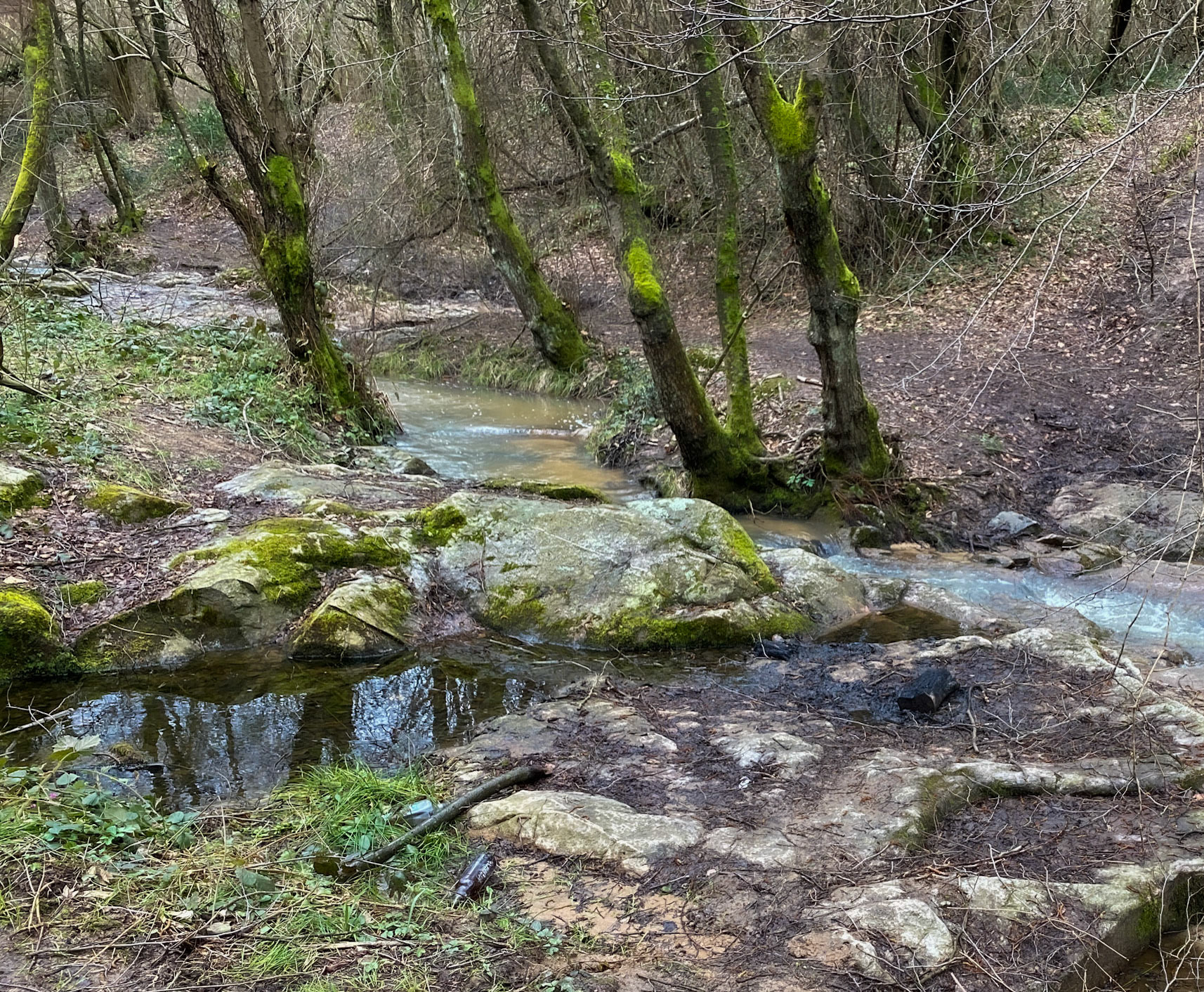 Polonezköy forests: stream