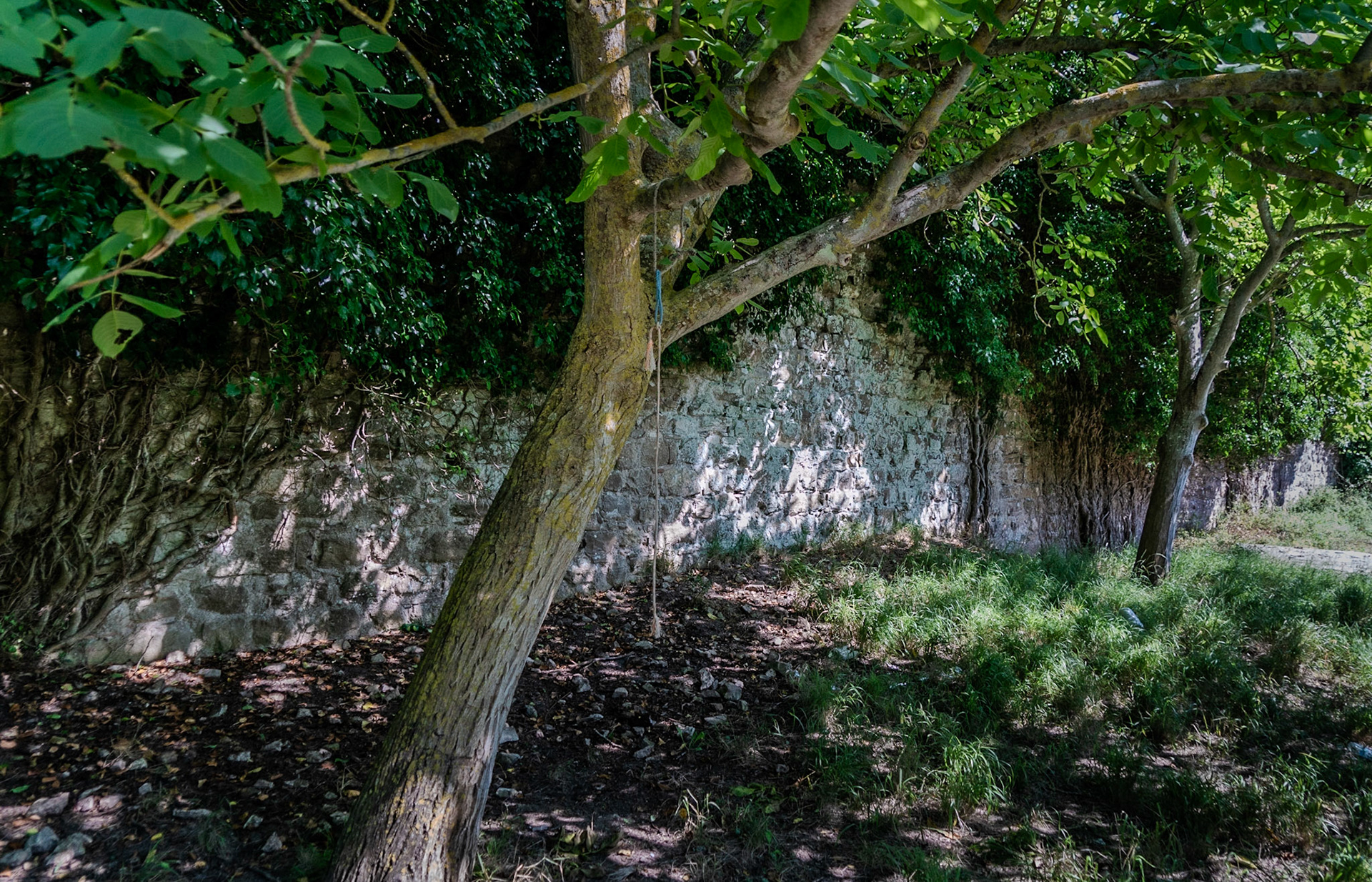 Trikos promontory: part of the old wall which (presumably) once crossed the neck of the promontory