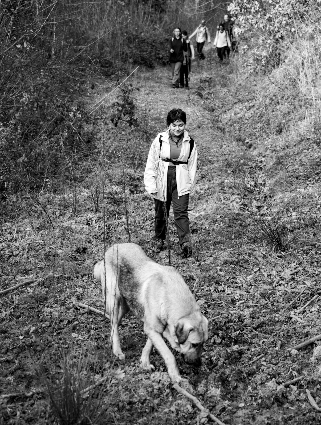 İshaklı forest: on track with one of our dogs