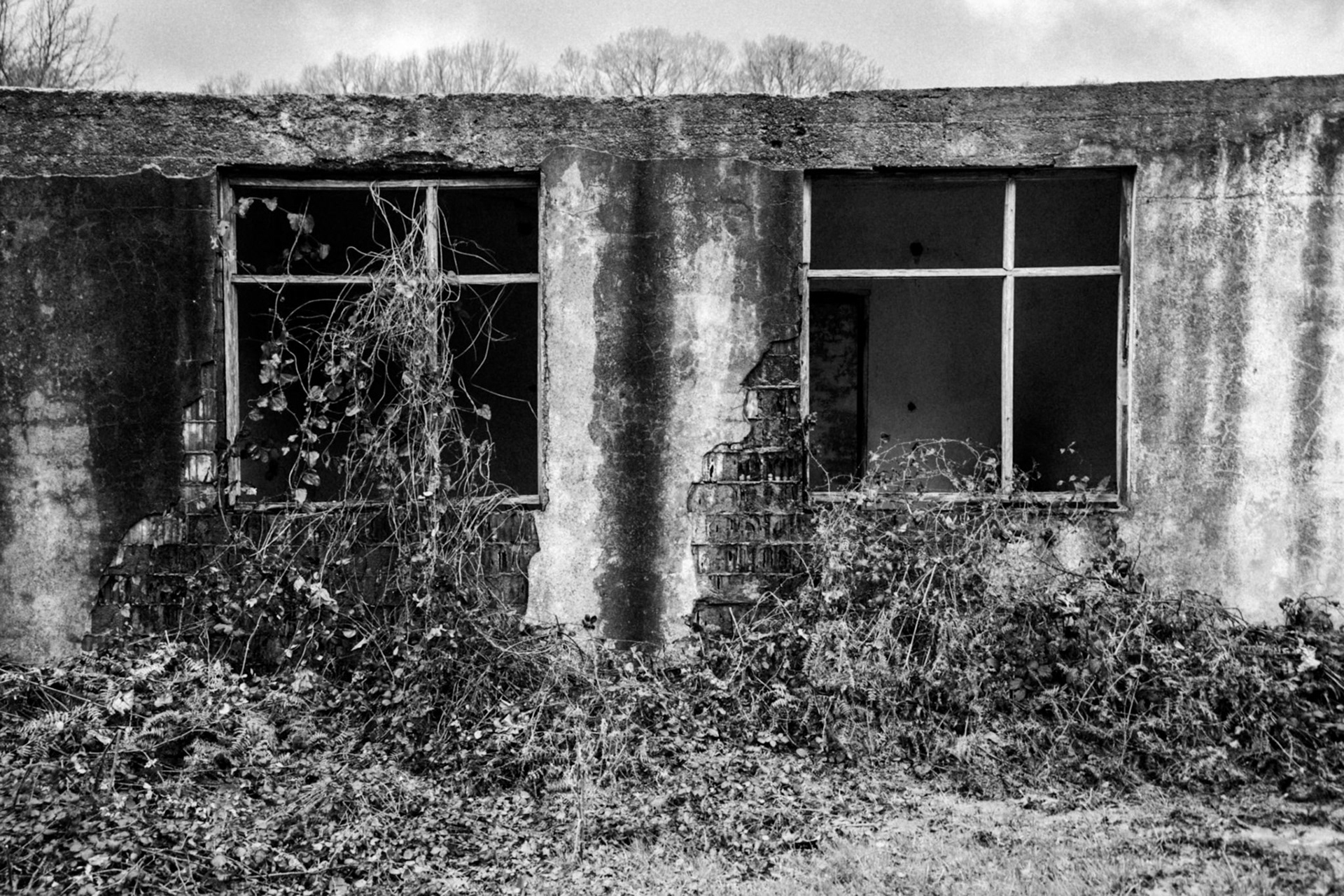 Mahmut Şevket Paşa: modern ruin