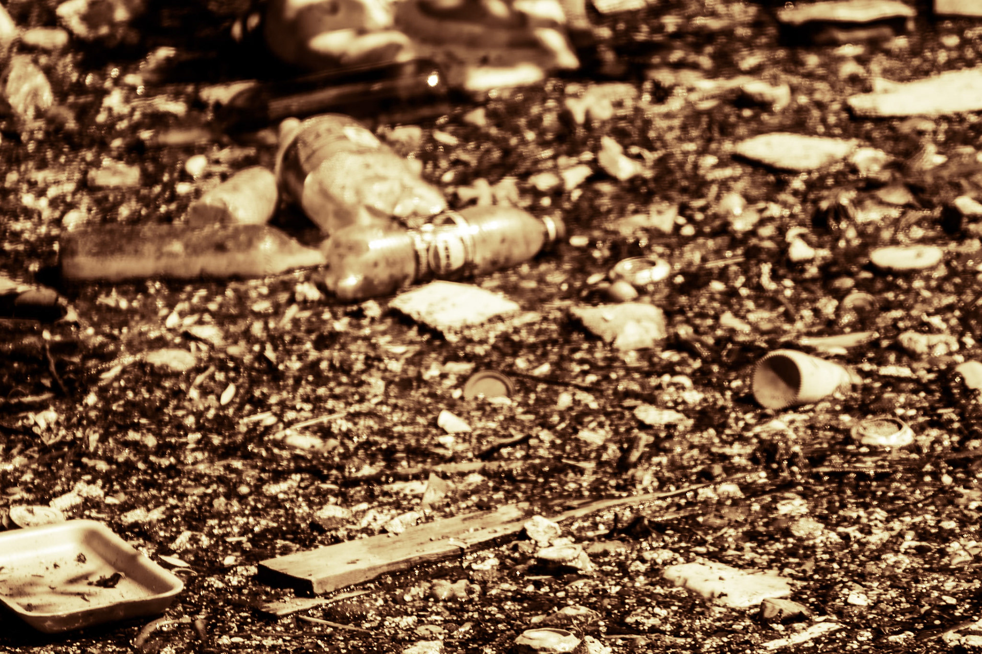 the Değirmendere: appalling flotsam