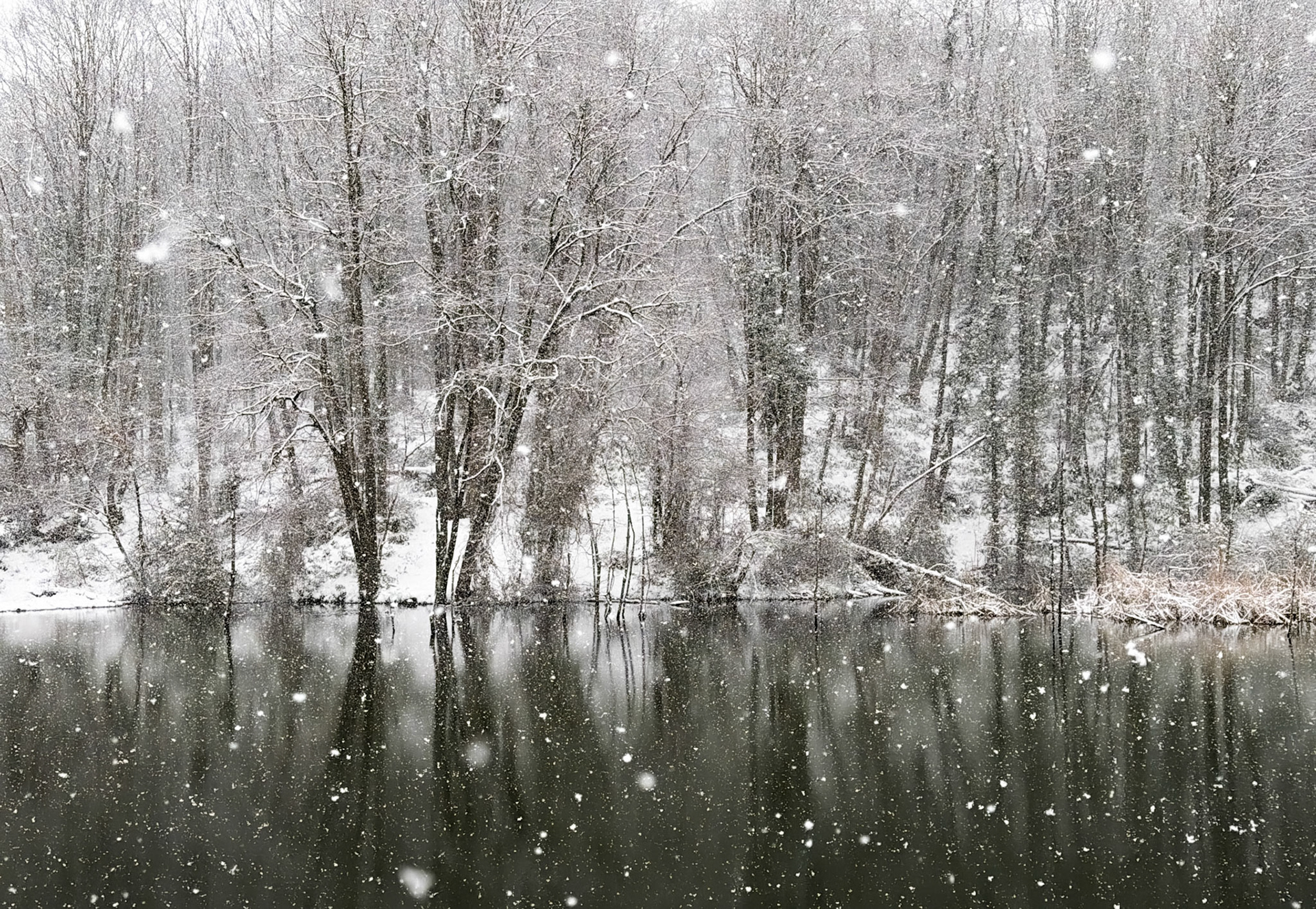 NW Zekeriyaköy pond: it's snowing!