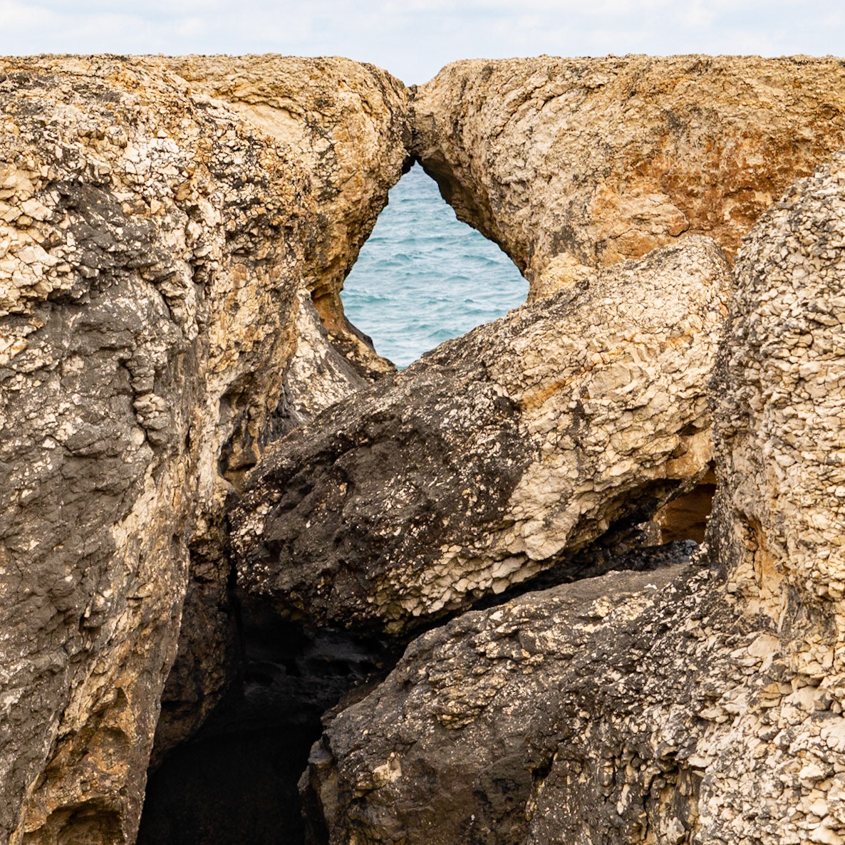Sahilköy basalt columns: two walruses kiss