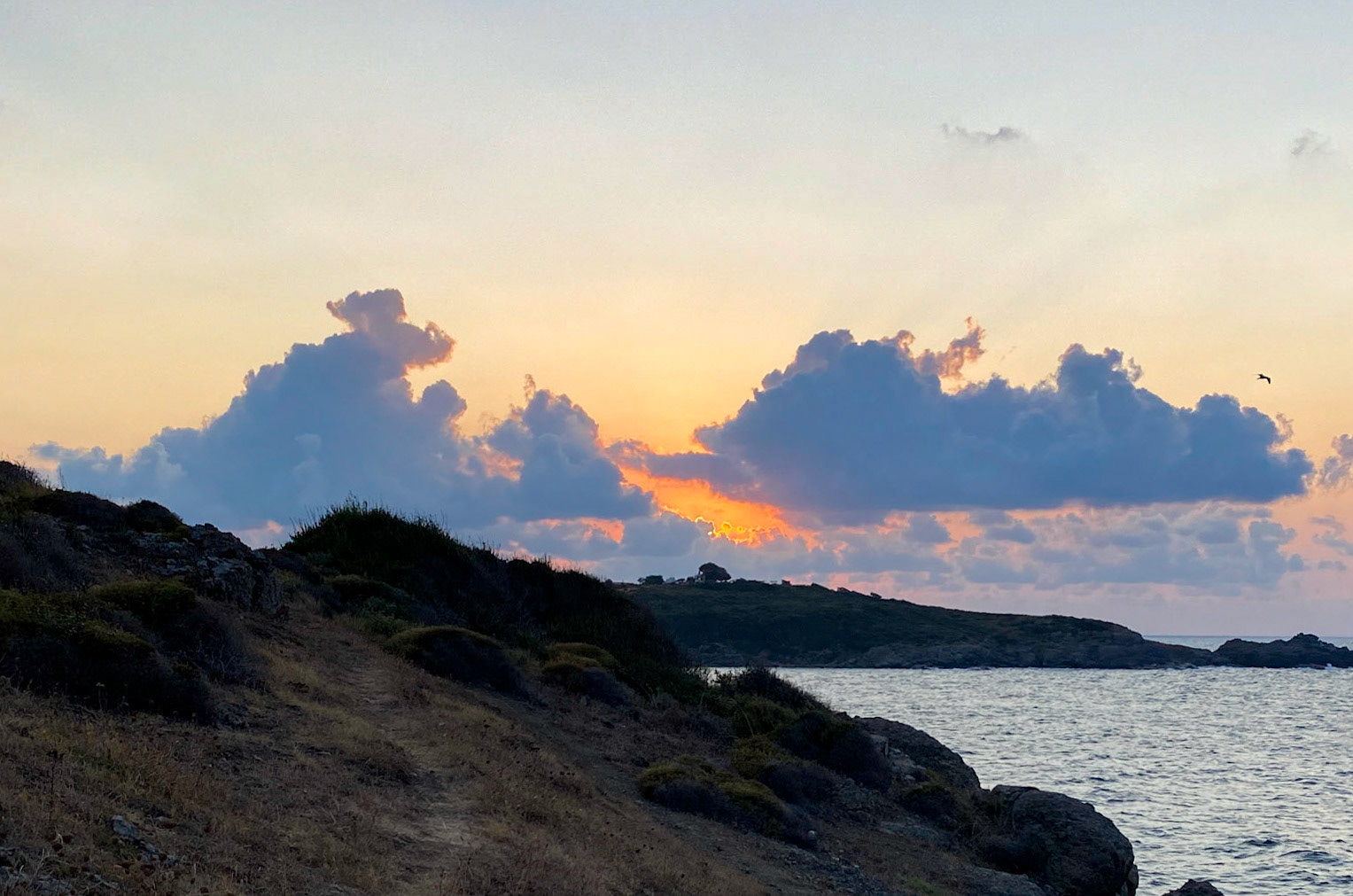 between the 'English' houses and Riva: the setting sun looking west along the shore