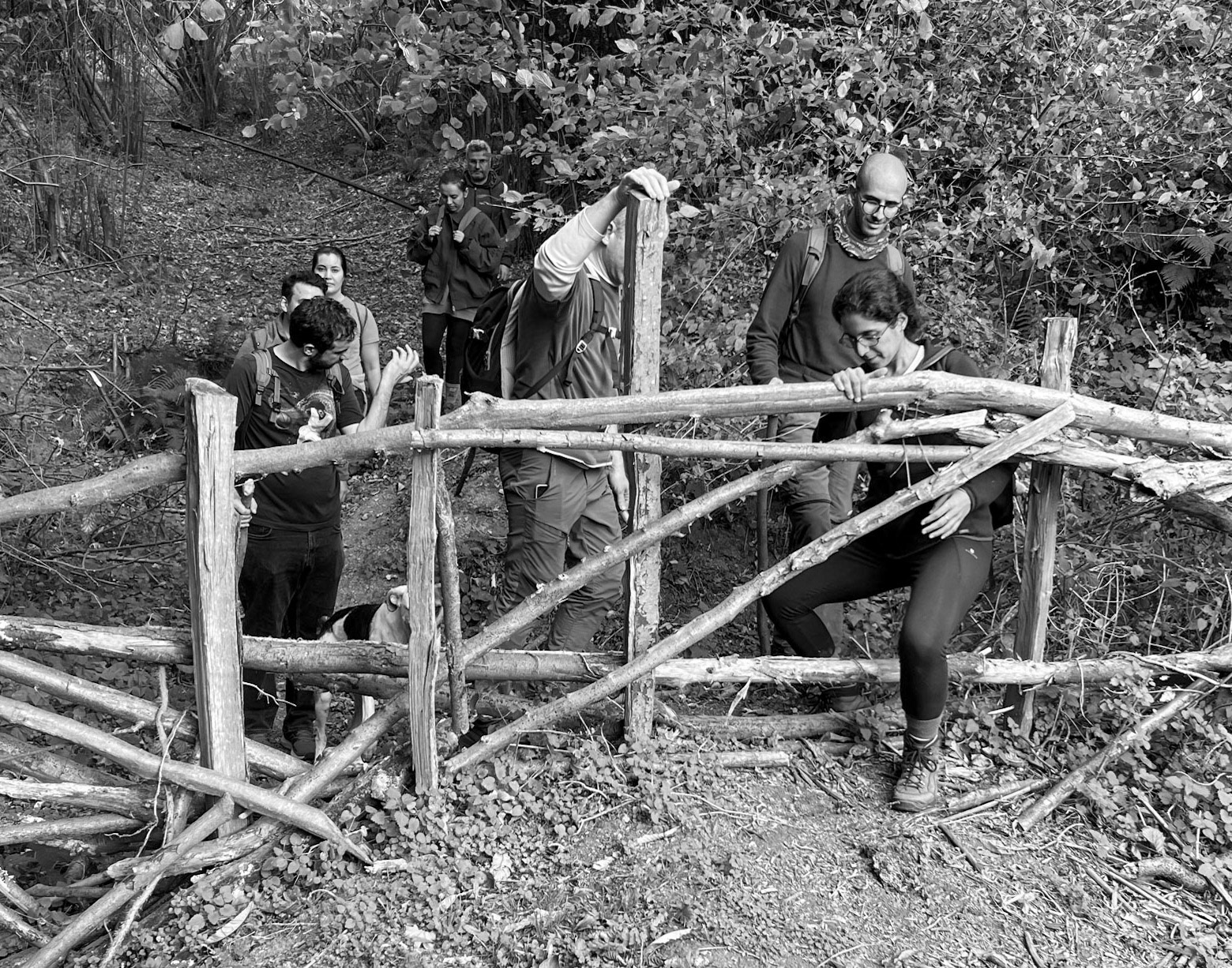 Tokatköy forest: passing through a gate
