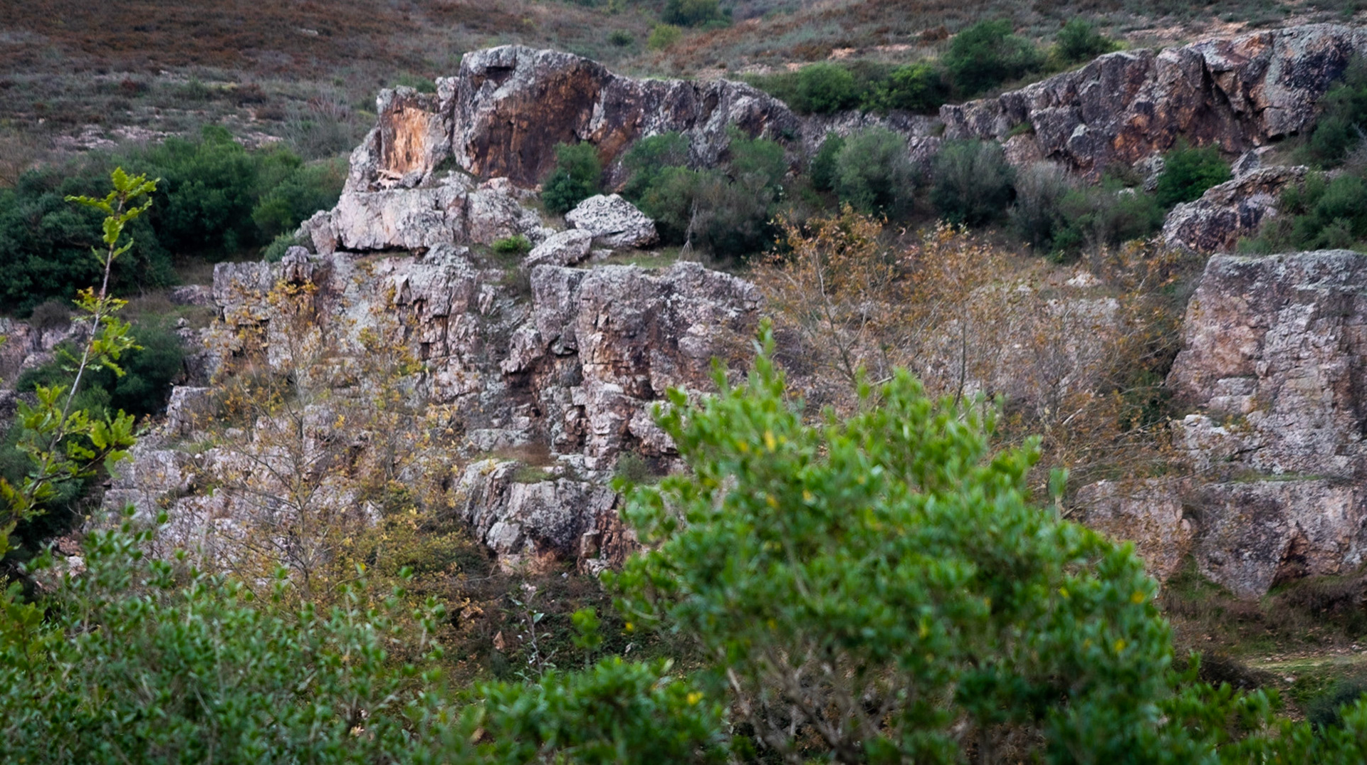 Paşaköy gorge: rocky outcrop