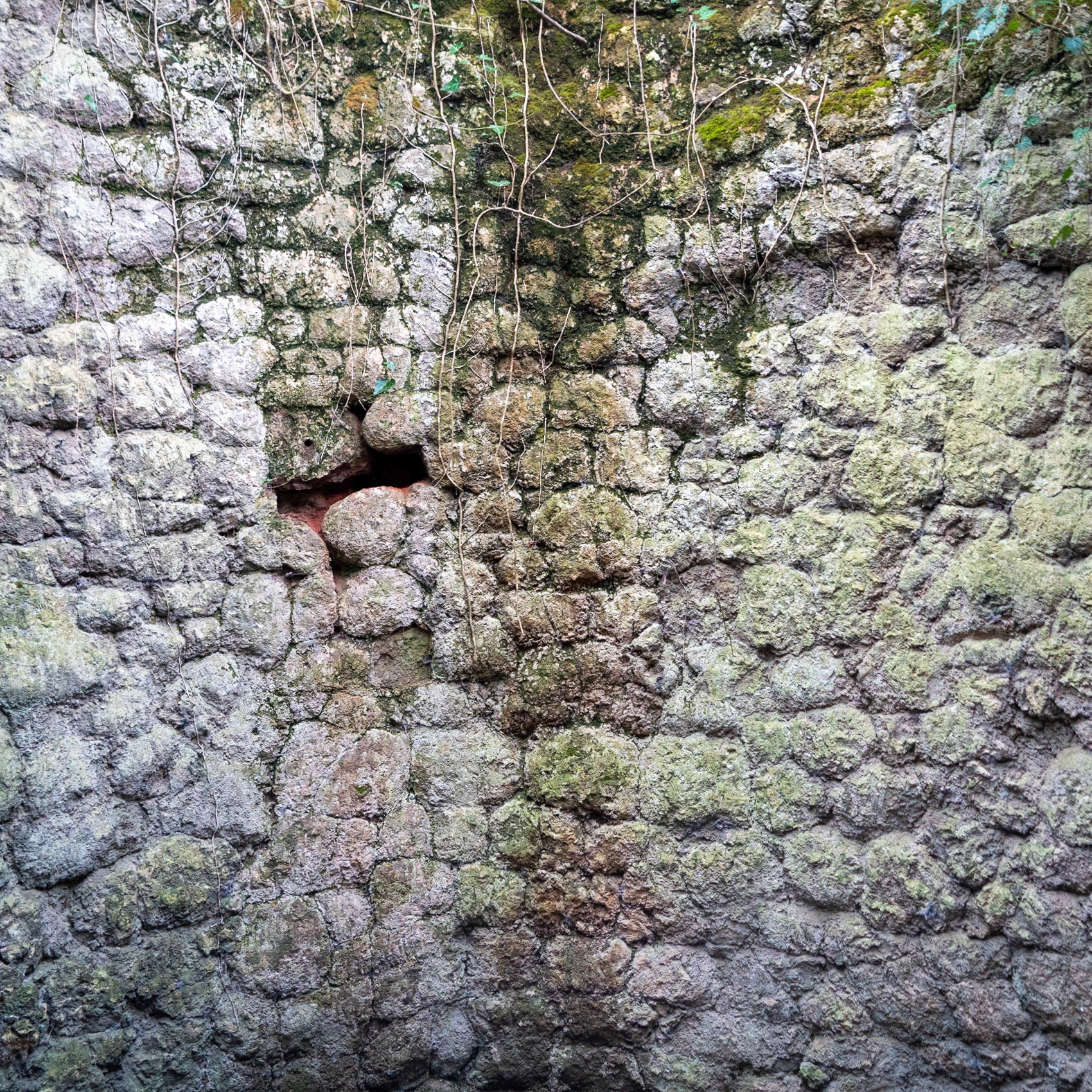 western Kirazlı wood: old store (?) on the northwestern corner