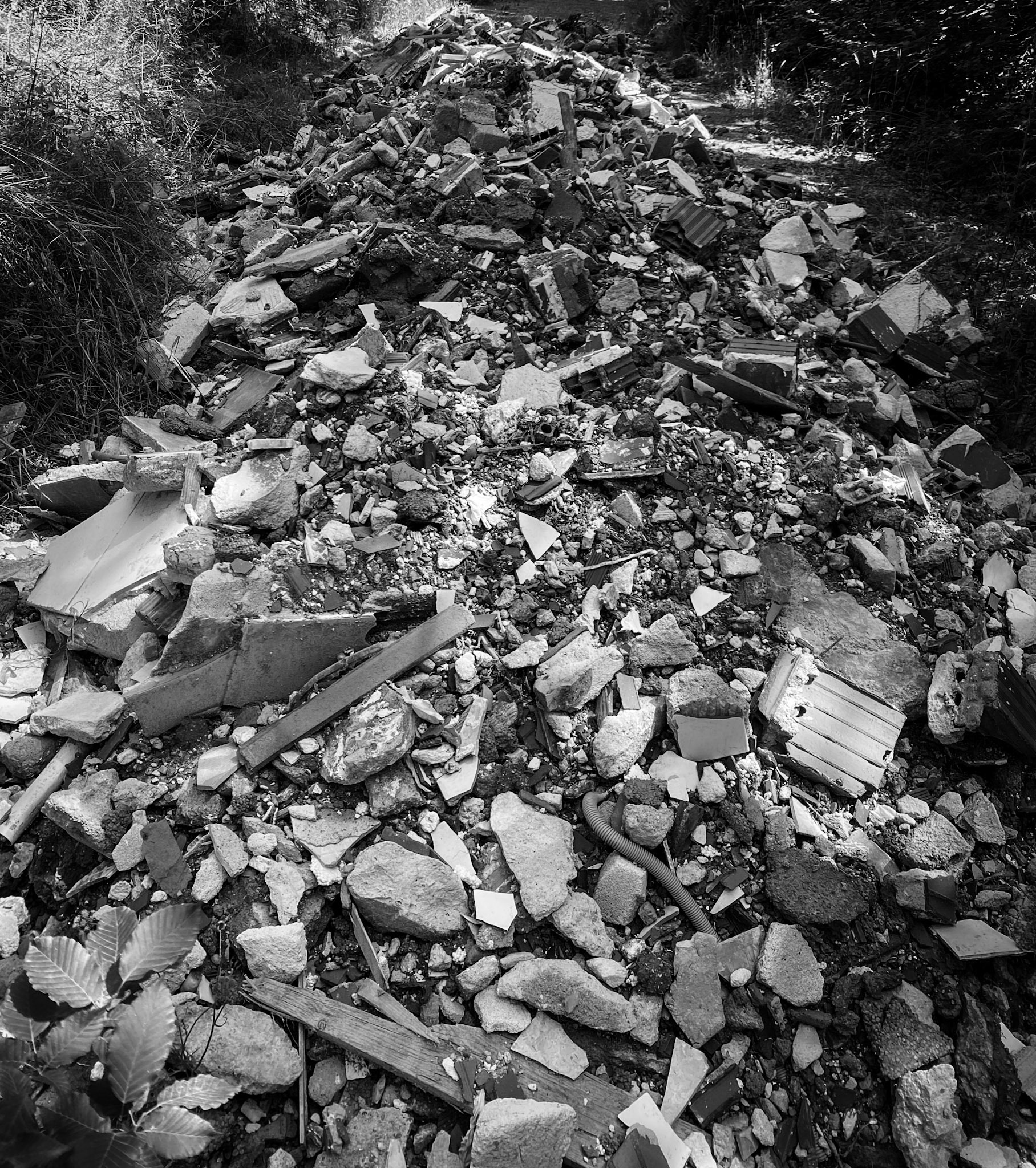 Kanlı forest: rubble dump
