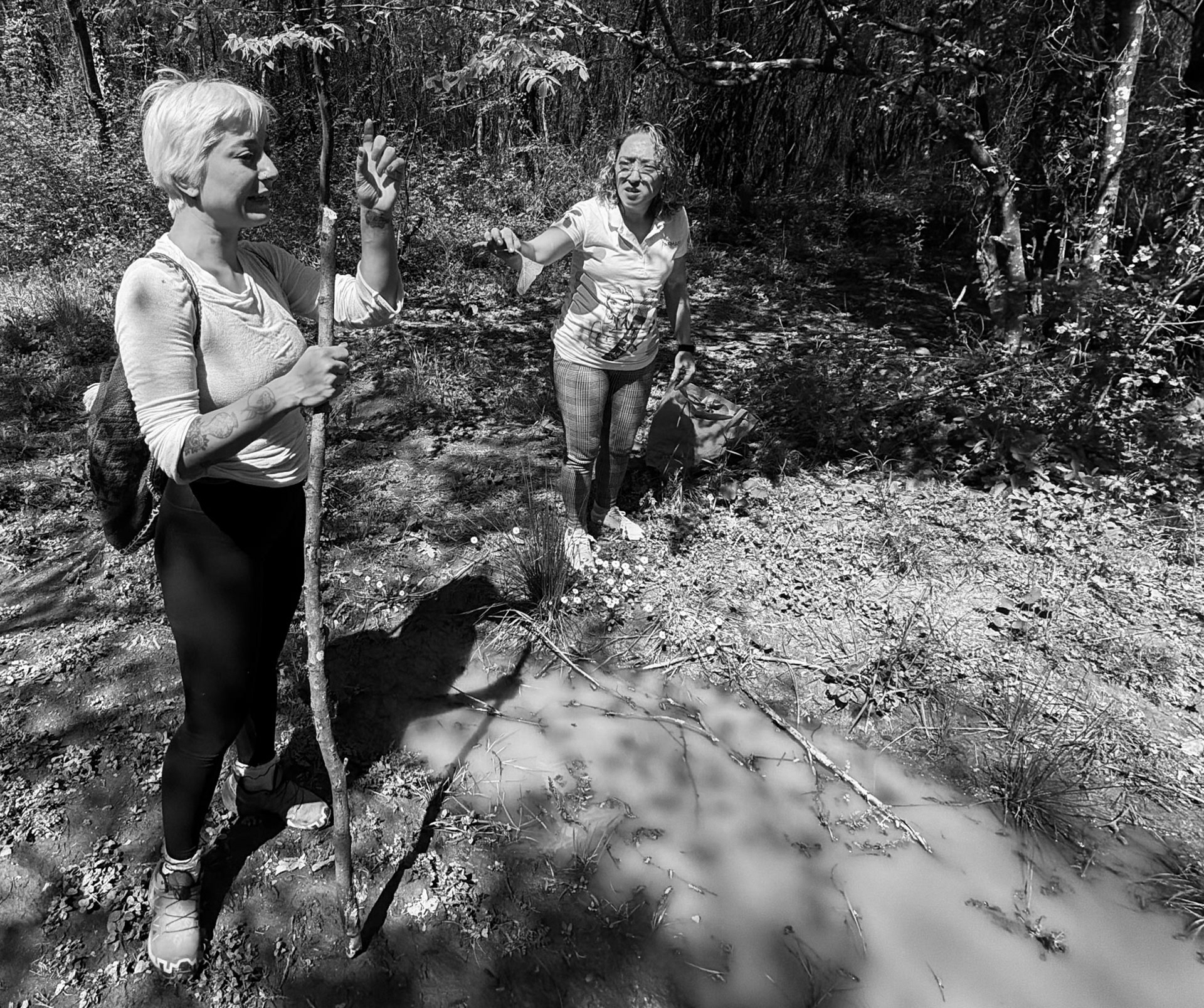 Çayağız tributary streamside walk: herb gatherer