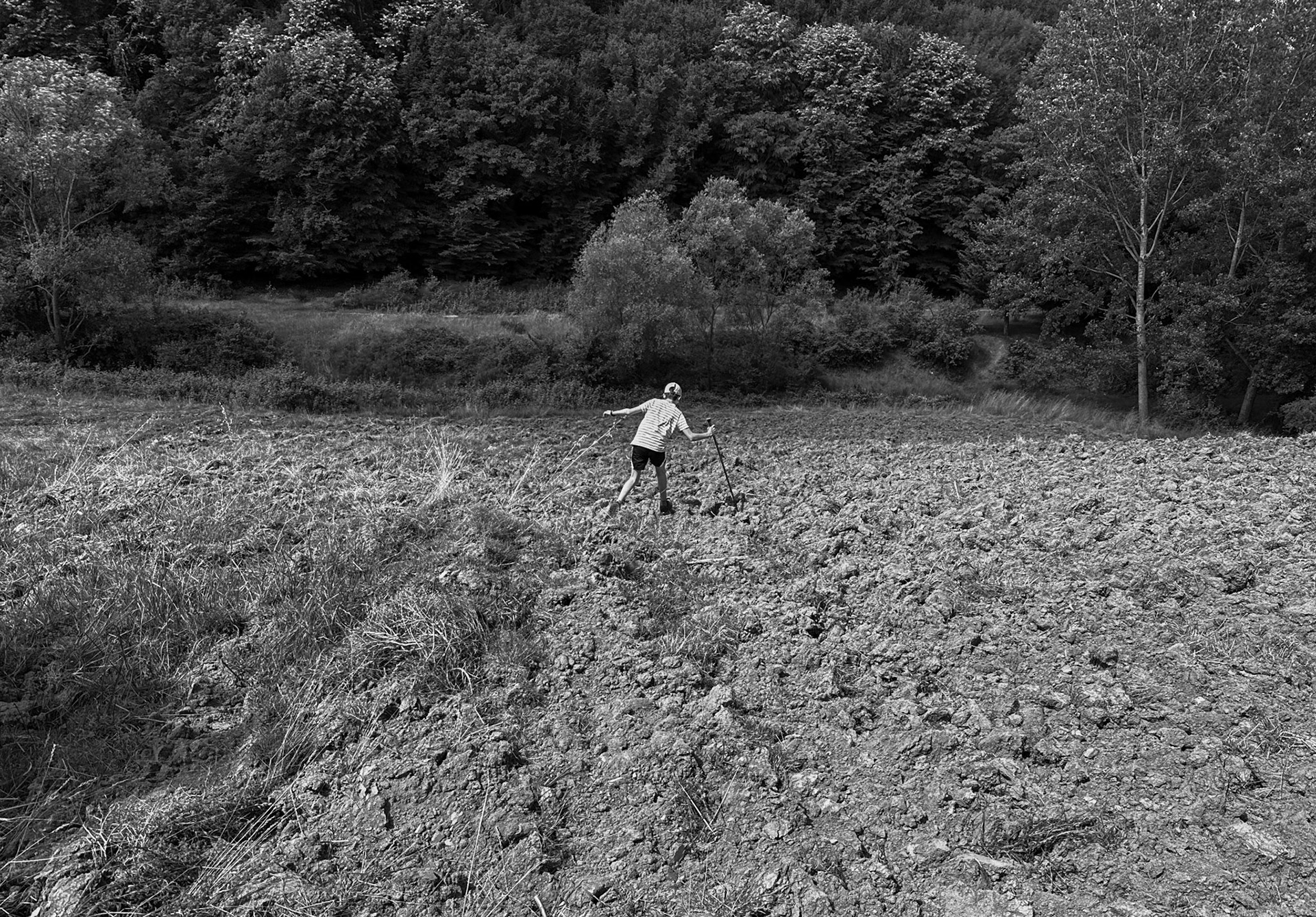 Çavușbașı: into the little valley before Baklacı northern wood