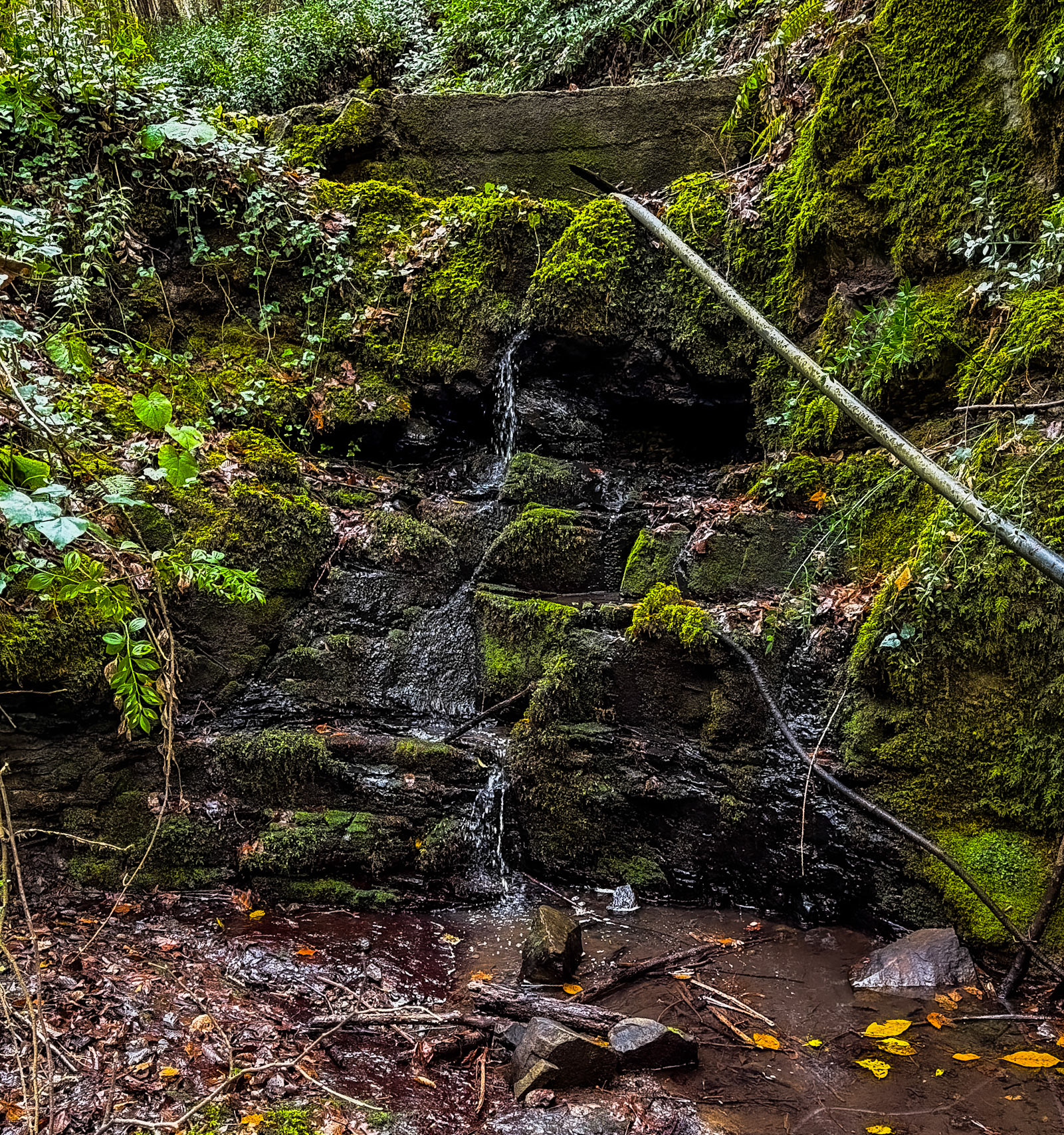 Ayhan Şahenk double stream walk: small waterfall and small weir