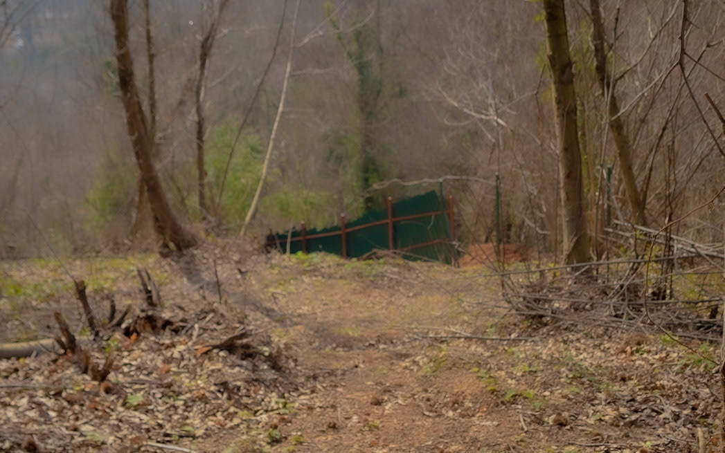 Kaymakdonduran woods: western fence