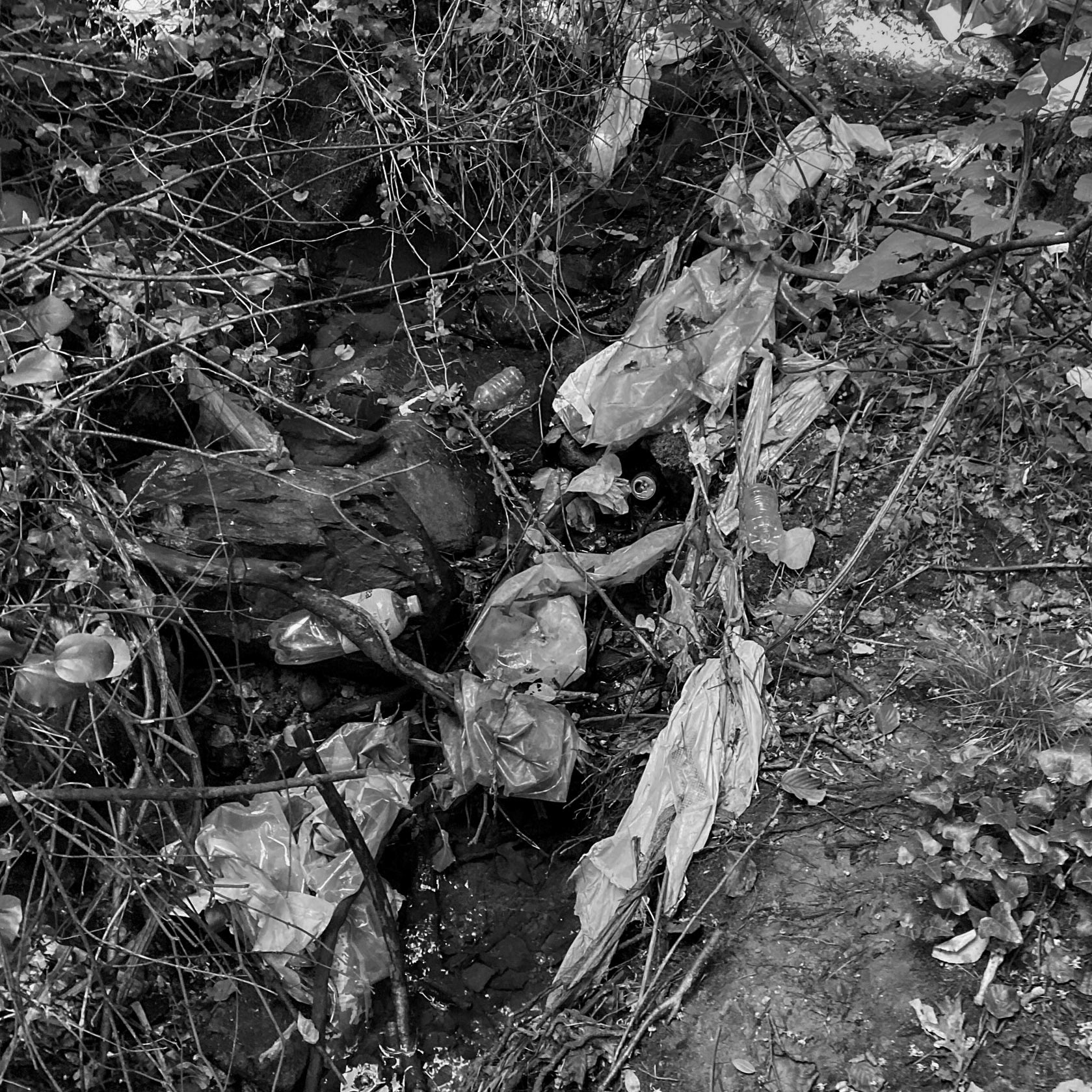Kanlı reservoir: flotsam