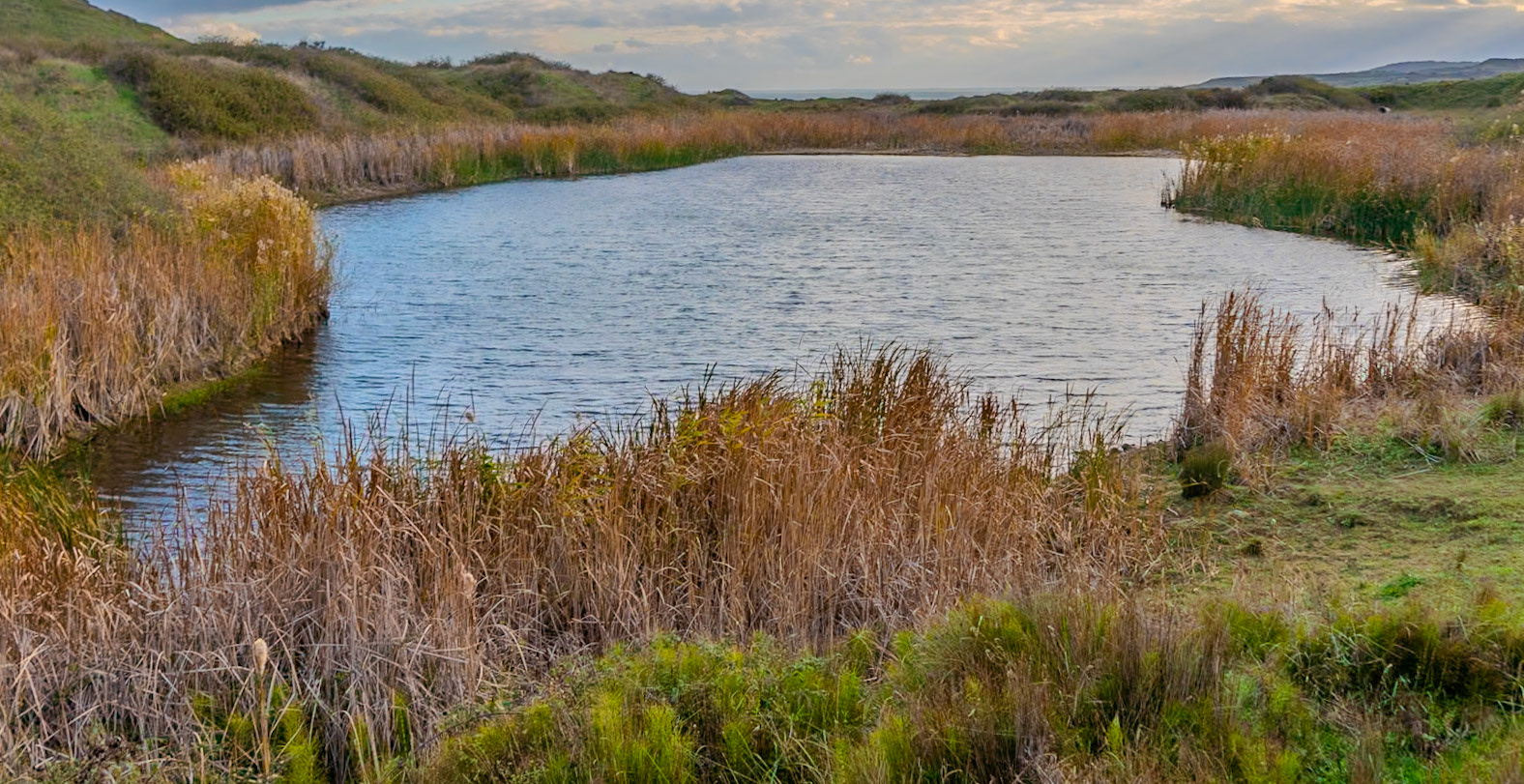 heading west from Akpınar: pond