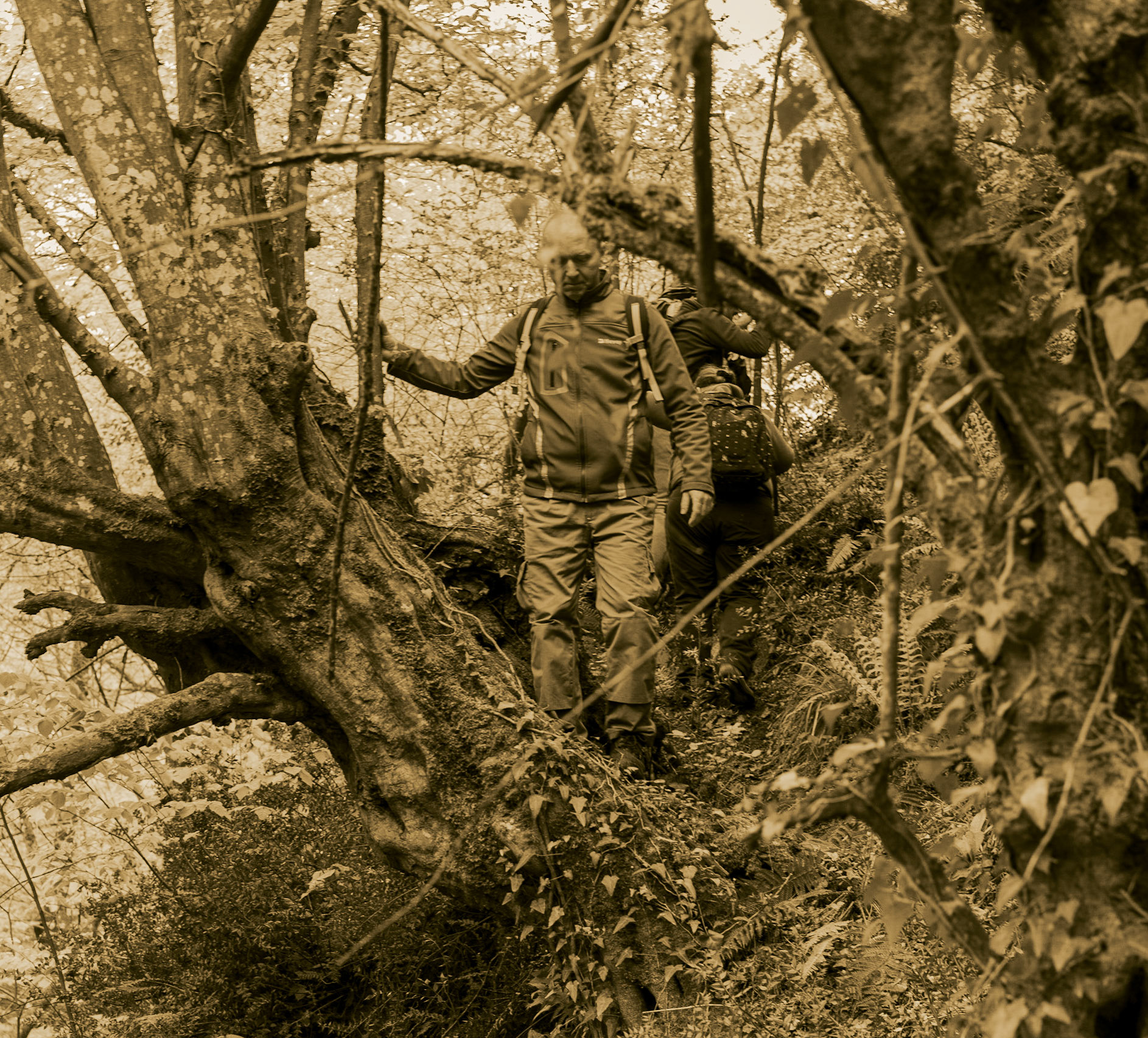 between Kılıçlı Köyü and İshaklıköy: Cuneyt and an old tree