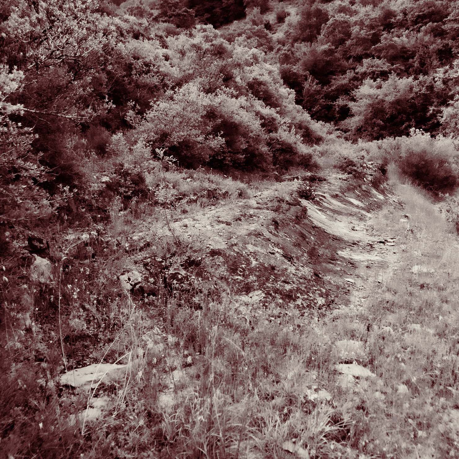 between Hasanlı and Sarıkavak hill: exposed rock