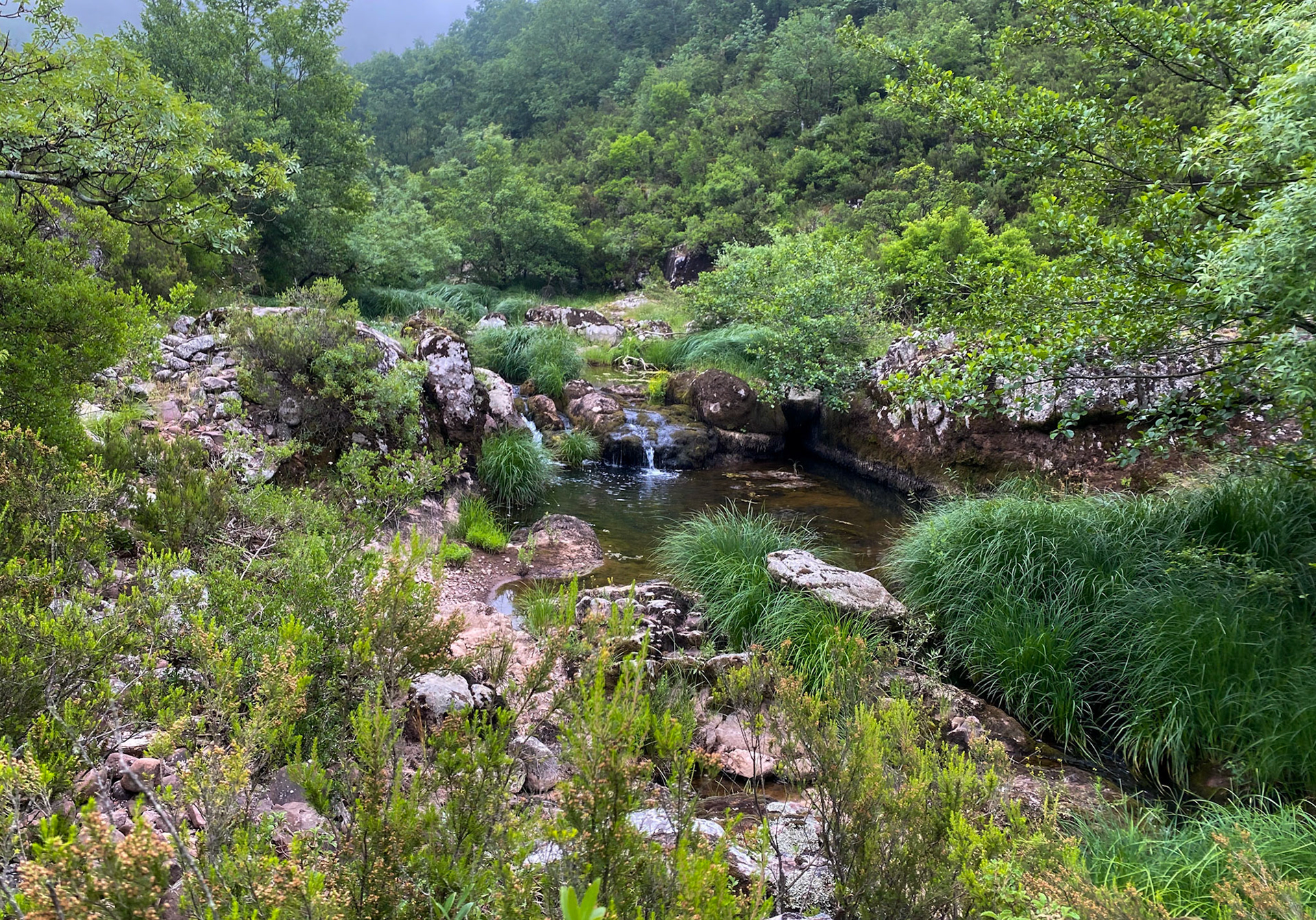 Sığırlık gorge: view