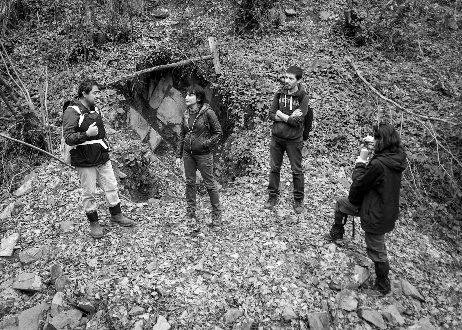 Alemdaǧ forest: treasure hunters' pits