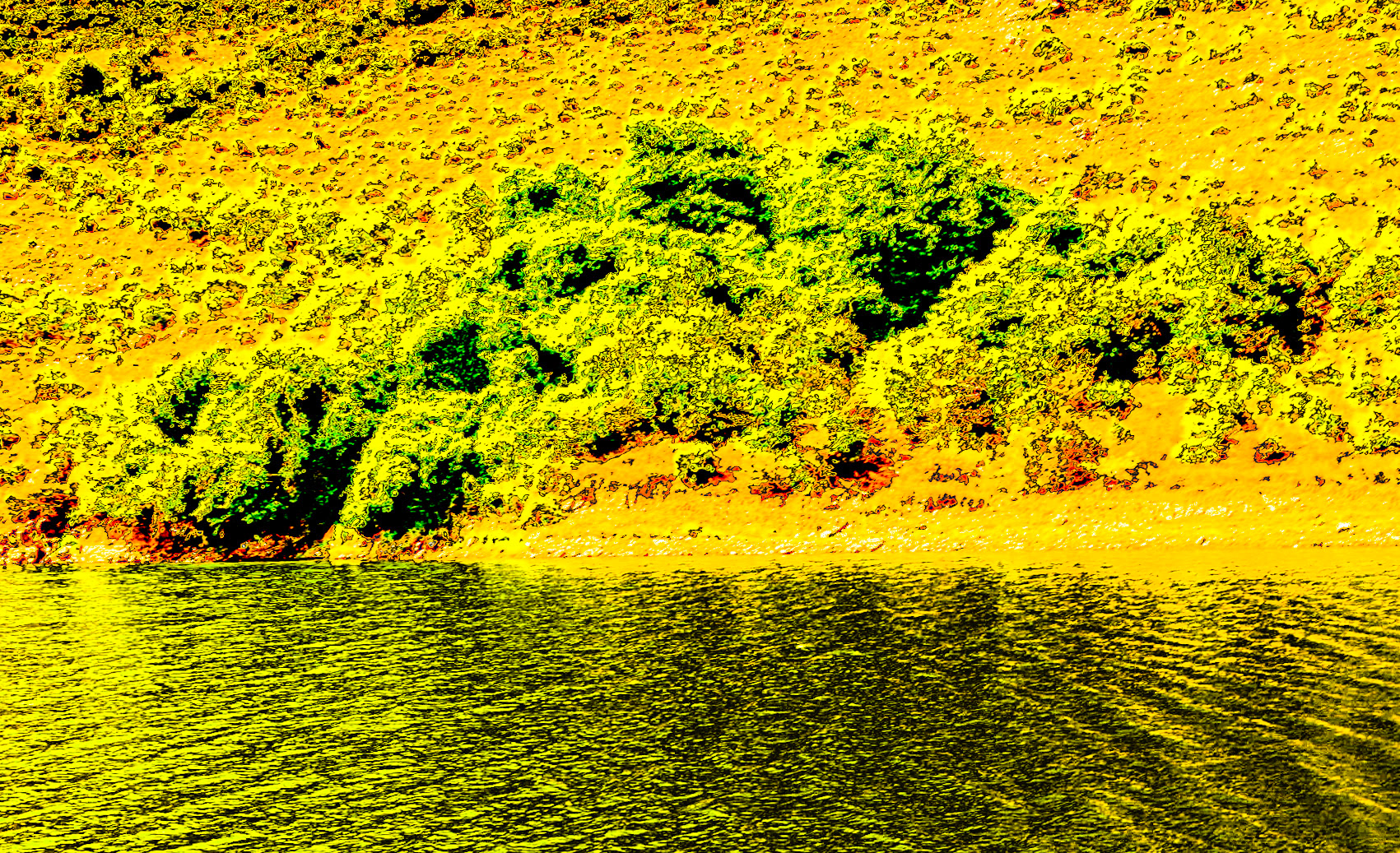 Paşaköy gorge: trees and water