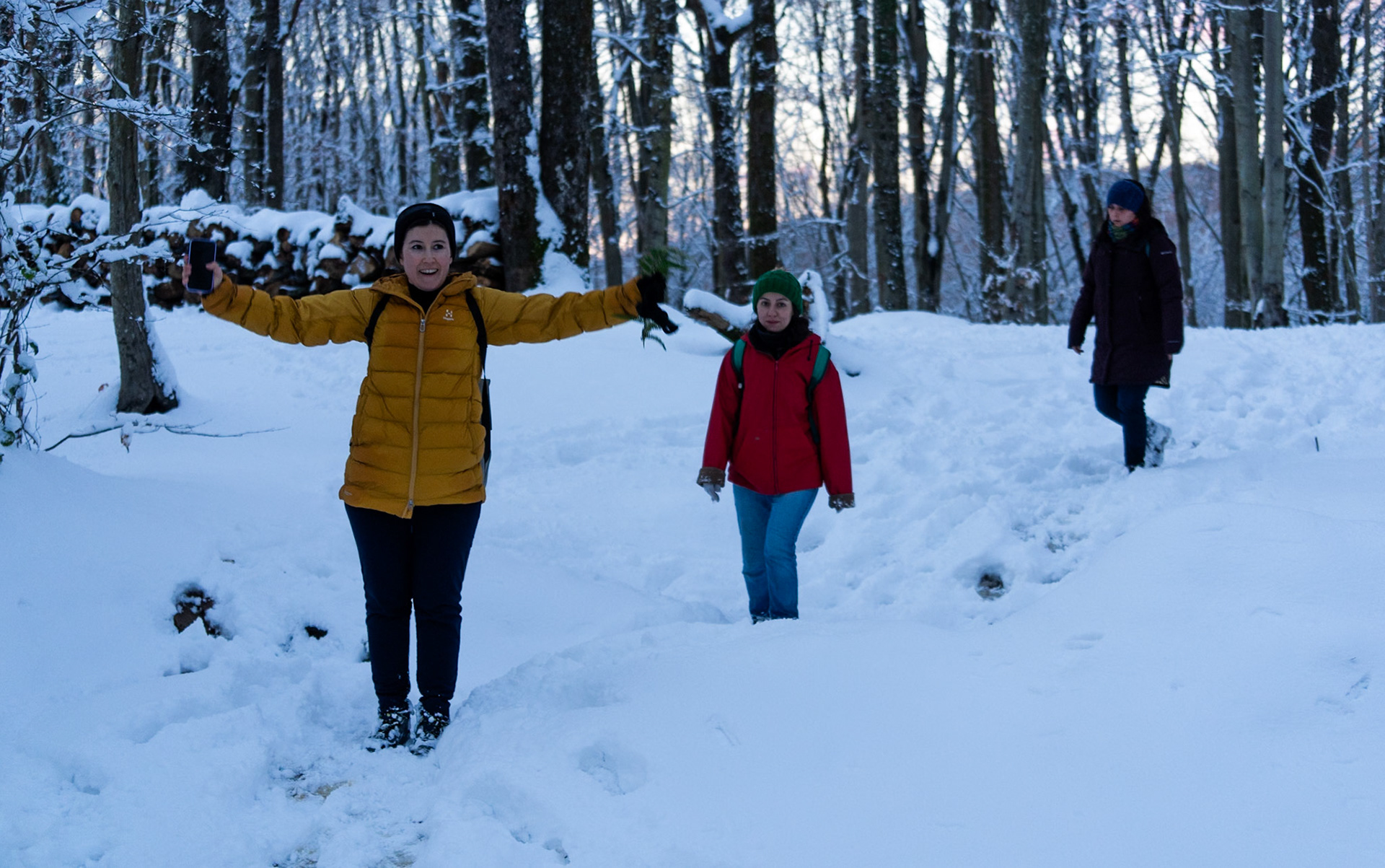 Neşet Suyu forest: the end is nigh