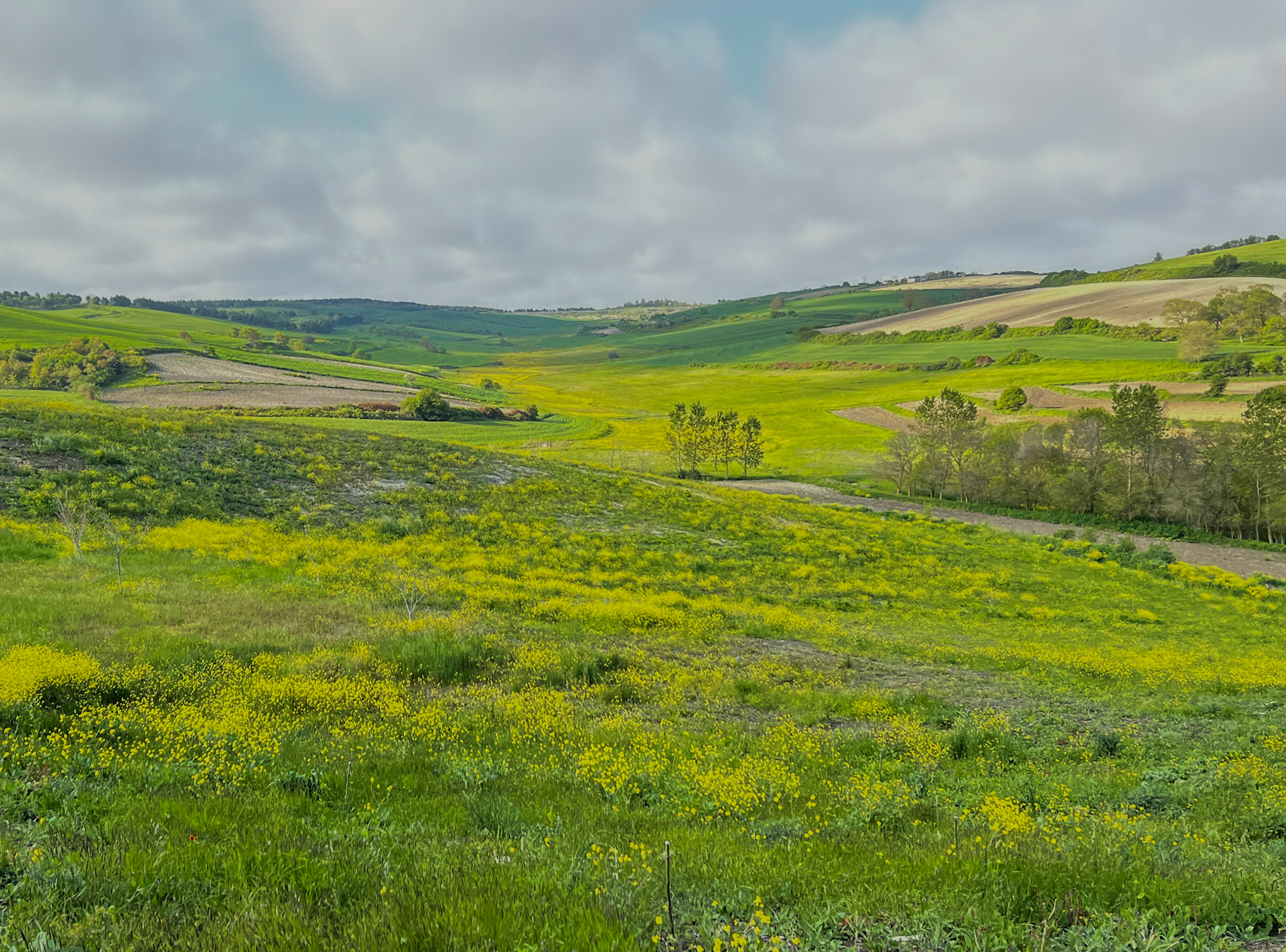 between Boyalık and Baklalı: pastoral landscape (severely under the threat of Kanal İstanbul)