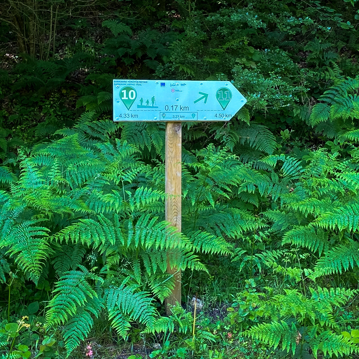 Sarıkavak hill: trail sign