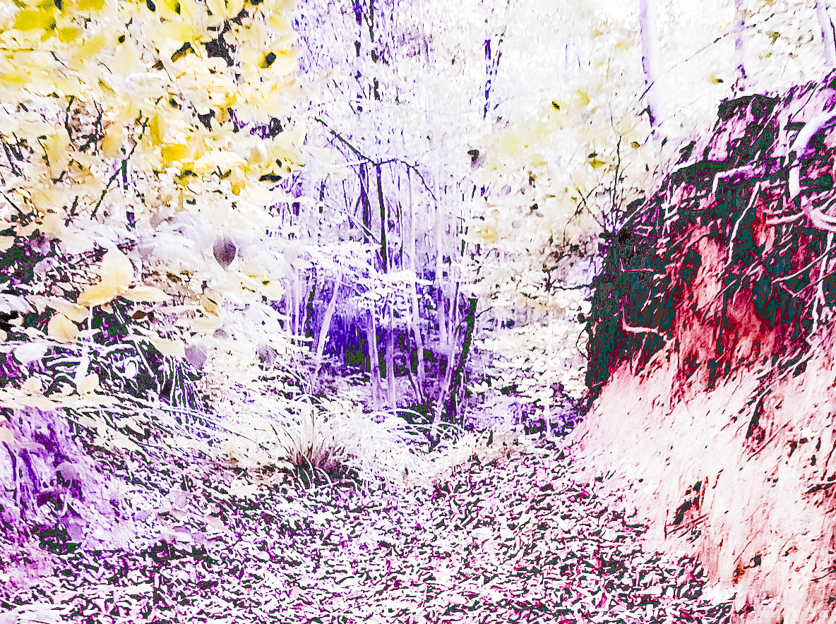 one of Deǧirmen’s western tributaries: technicolour world