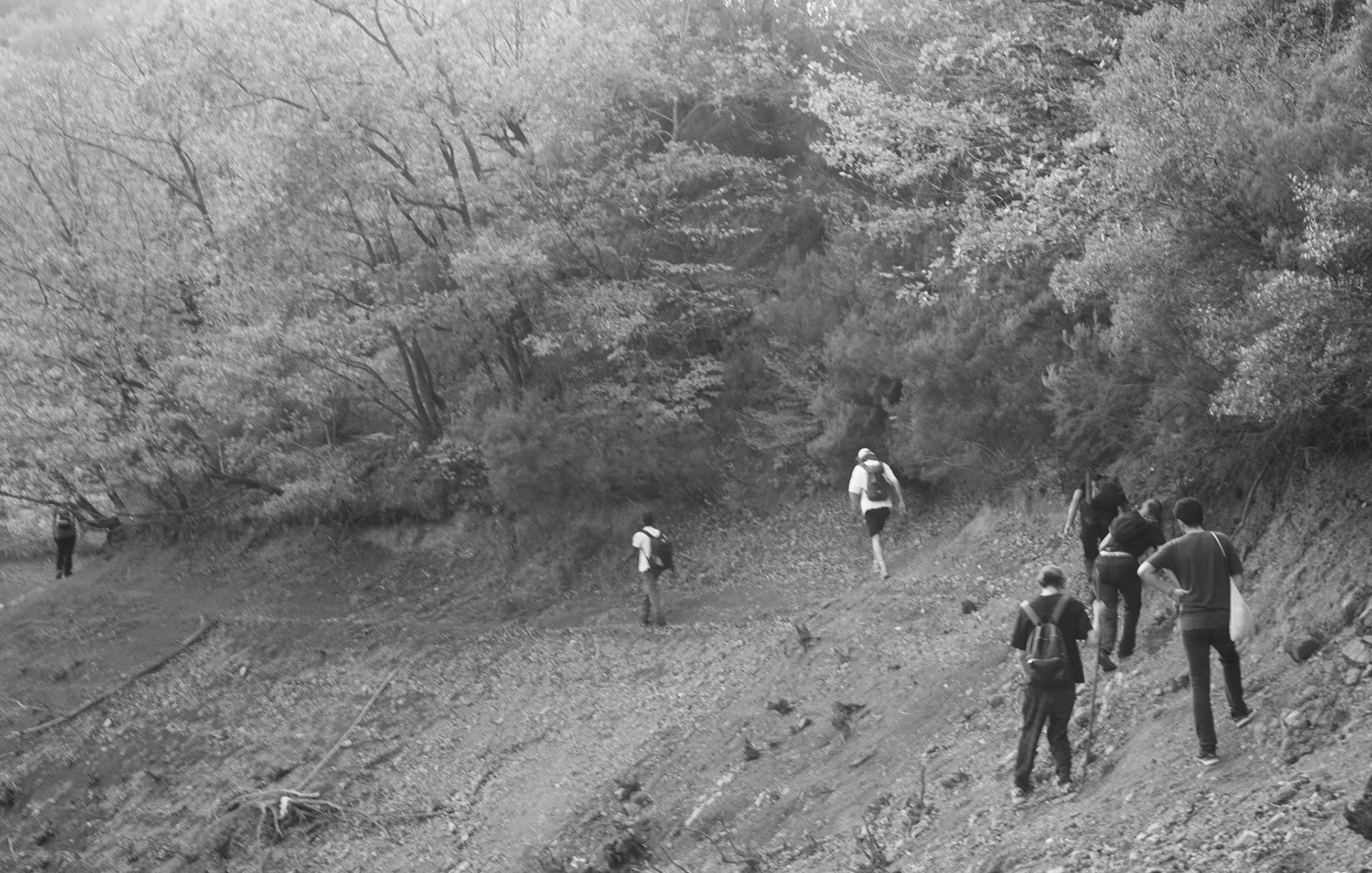 E Mahmut Şevket Paşa: walking along the edge of the reservoir