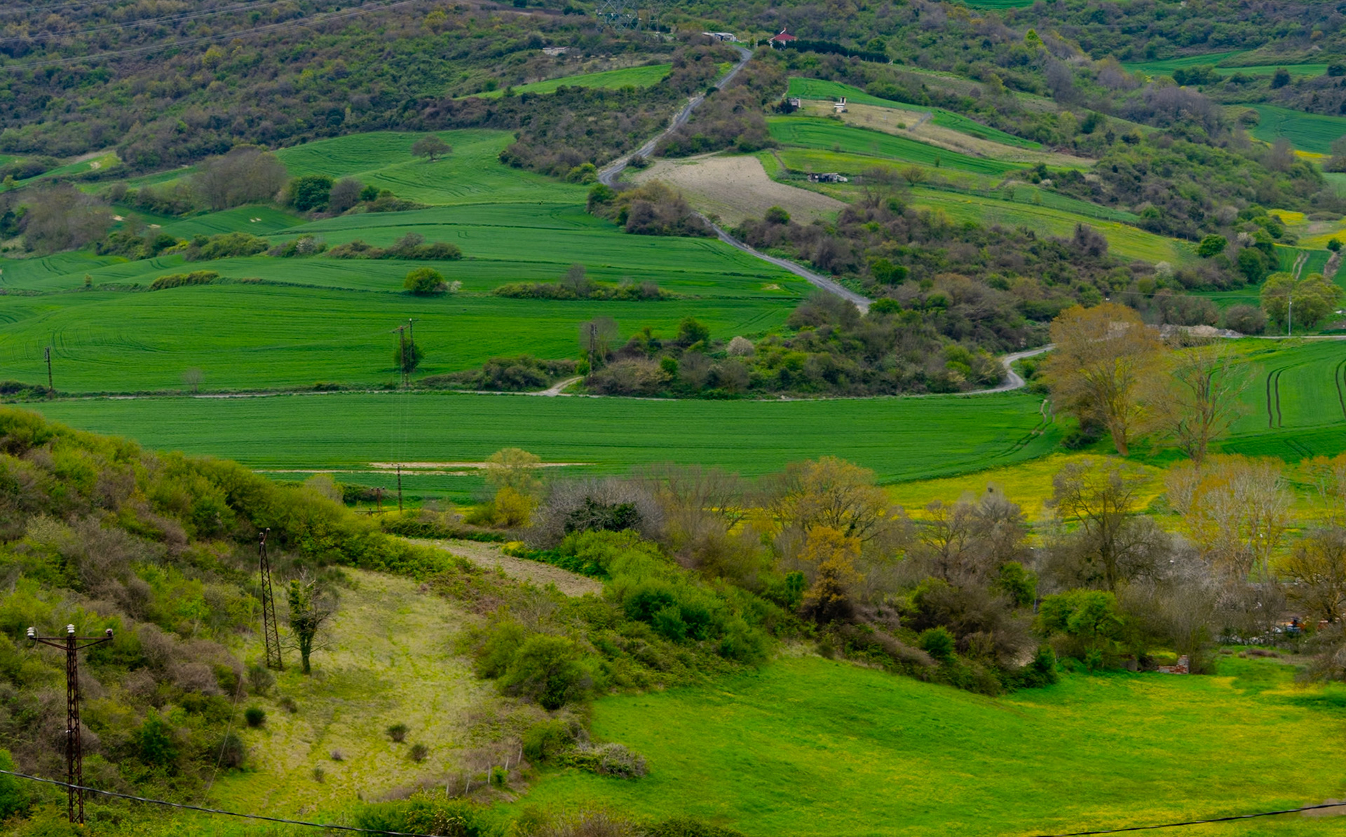 Boyalık: green pasture and woodland