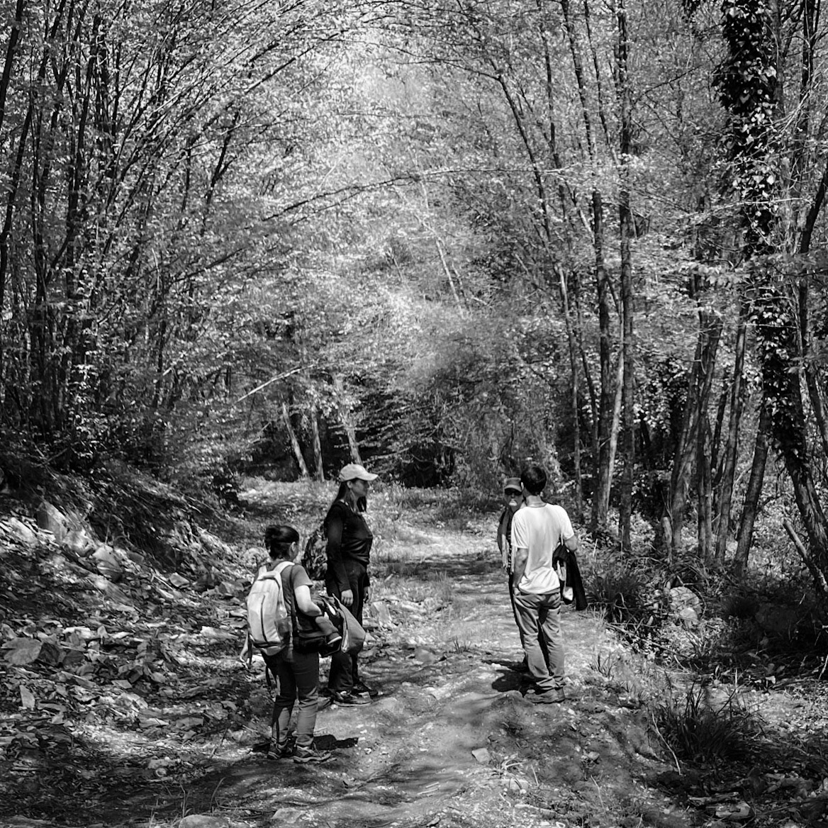 Reşadiye: green way