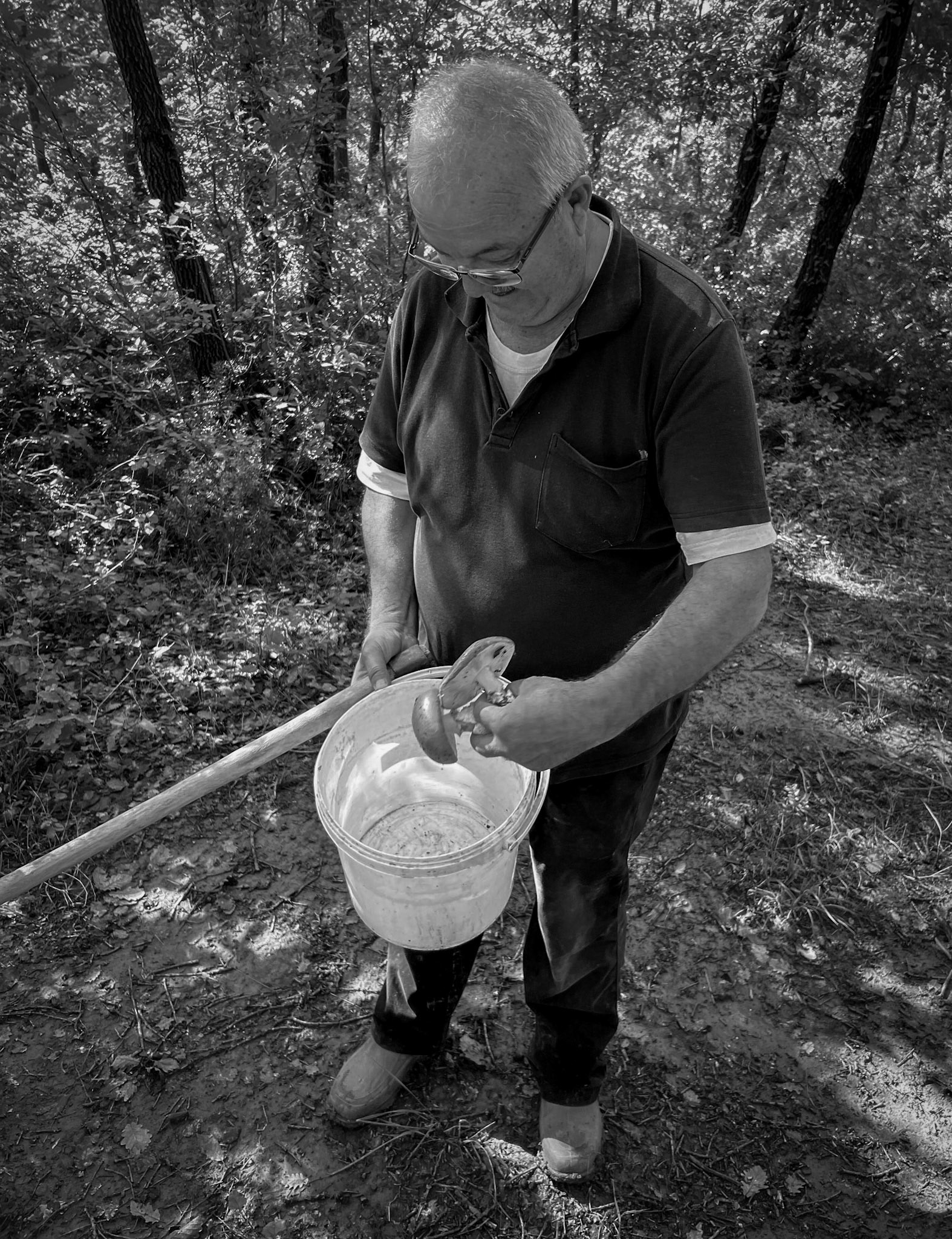 Atdosun forest: a happy mushroom gatherer