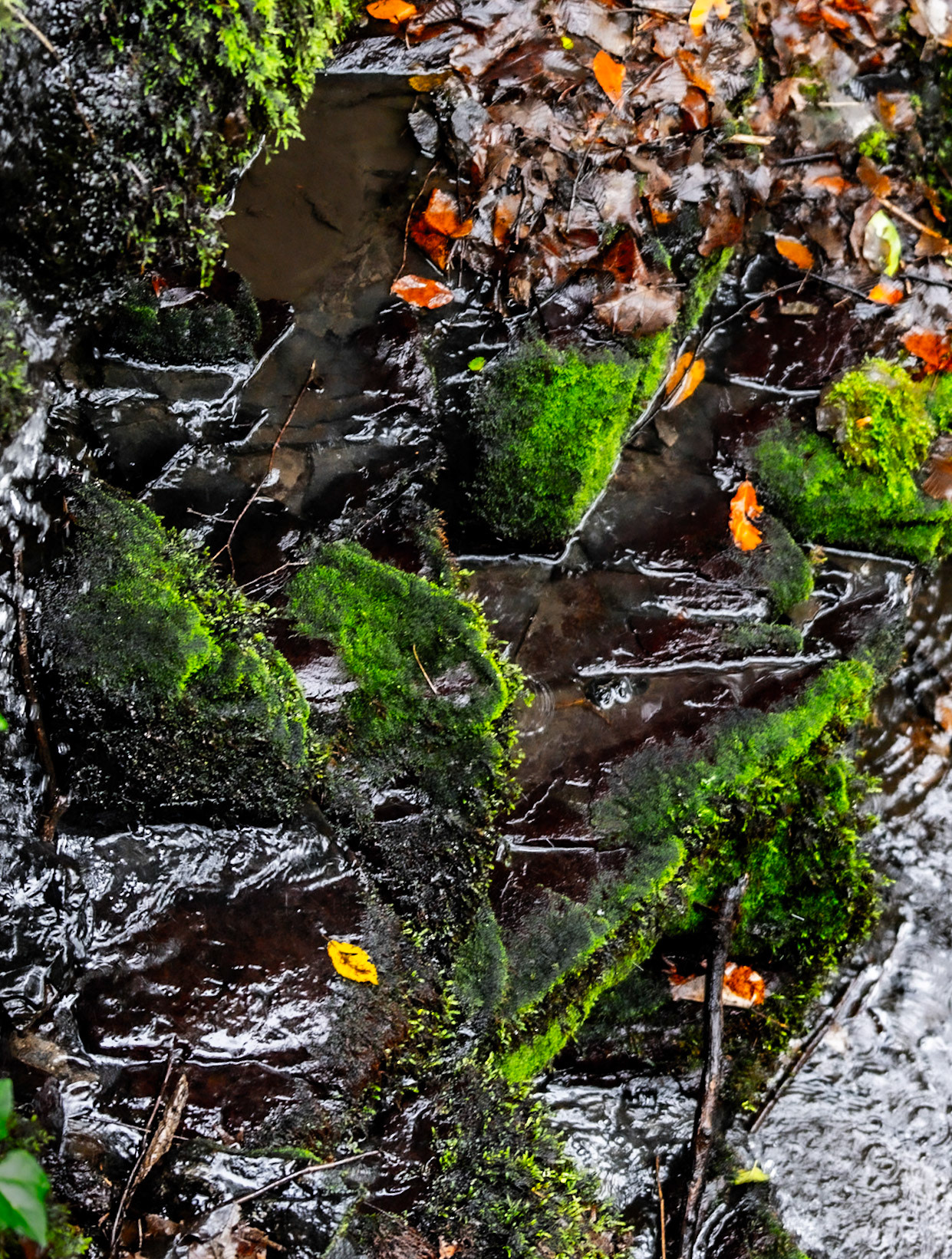 Ayhan Şahenk double stream walk: green ledges