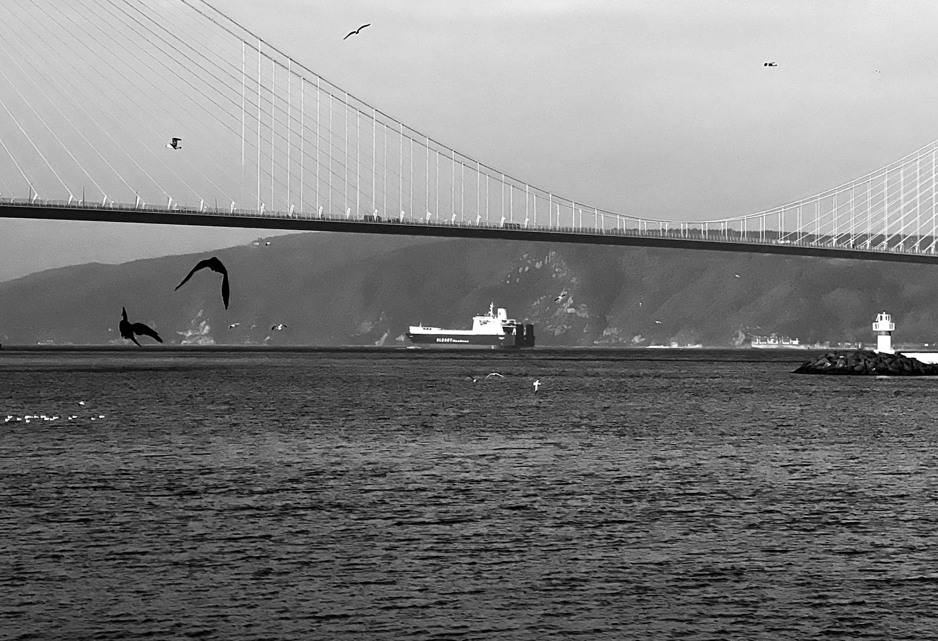 Poyraz harbour: the Bosphorus and 3rd bridge looking south