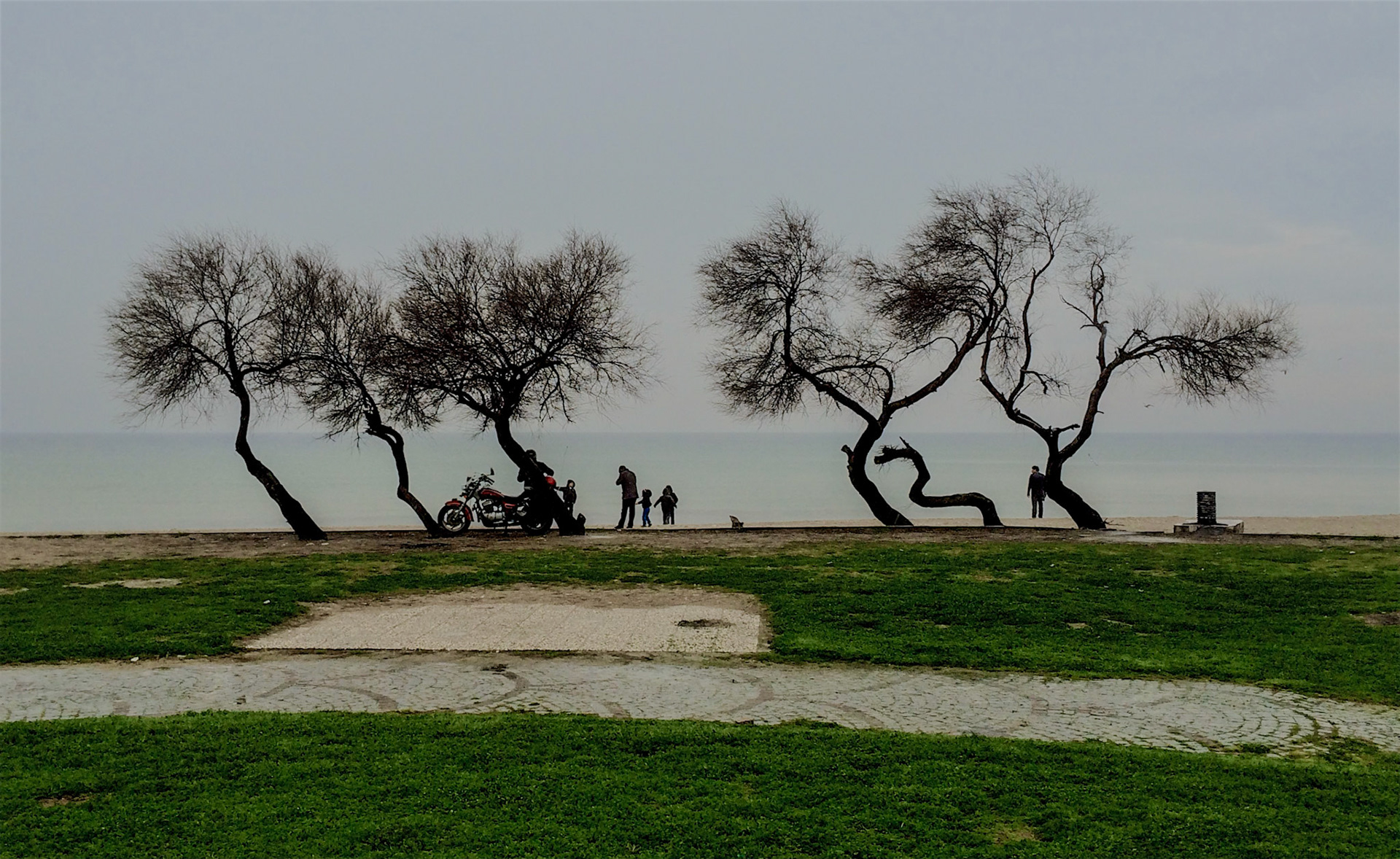 Menekşe Plajı: twisted trees and some out-of-season beach people
