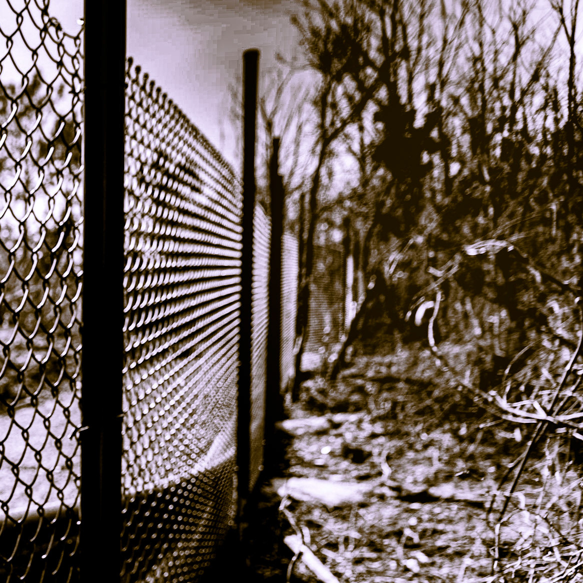 Kaymakdonduran woods: northern fence