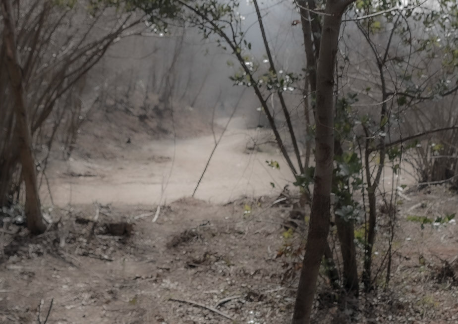 Kaymakdonduran woods: recently demarcated and cleared land