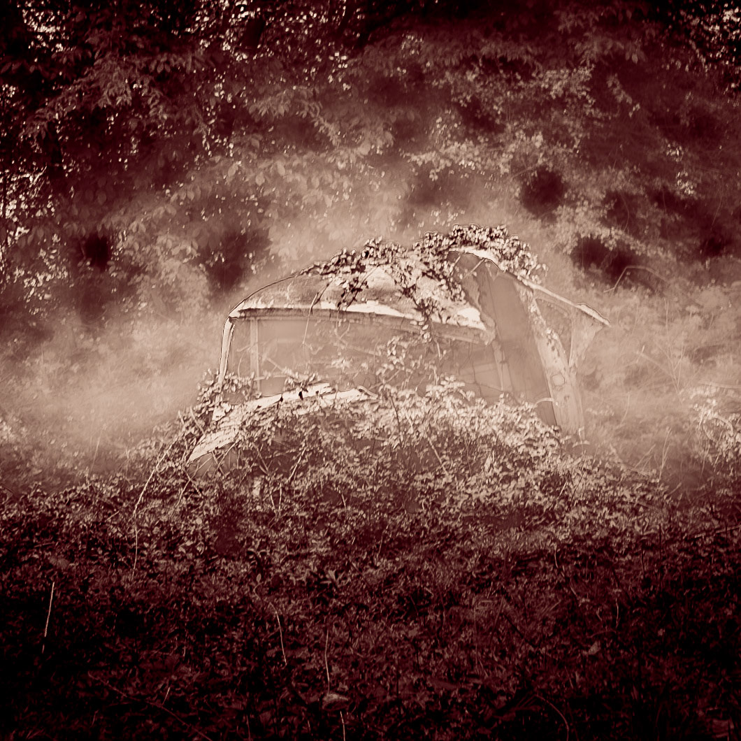 between Alemdaǧ and Reşadiye: abandoned car in the forest