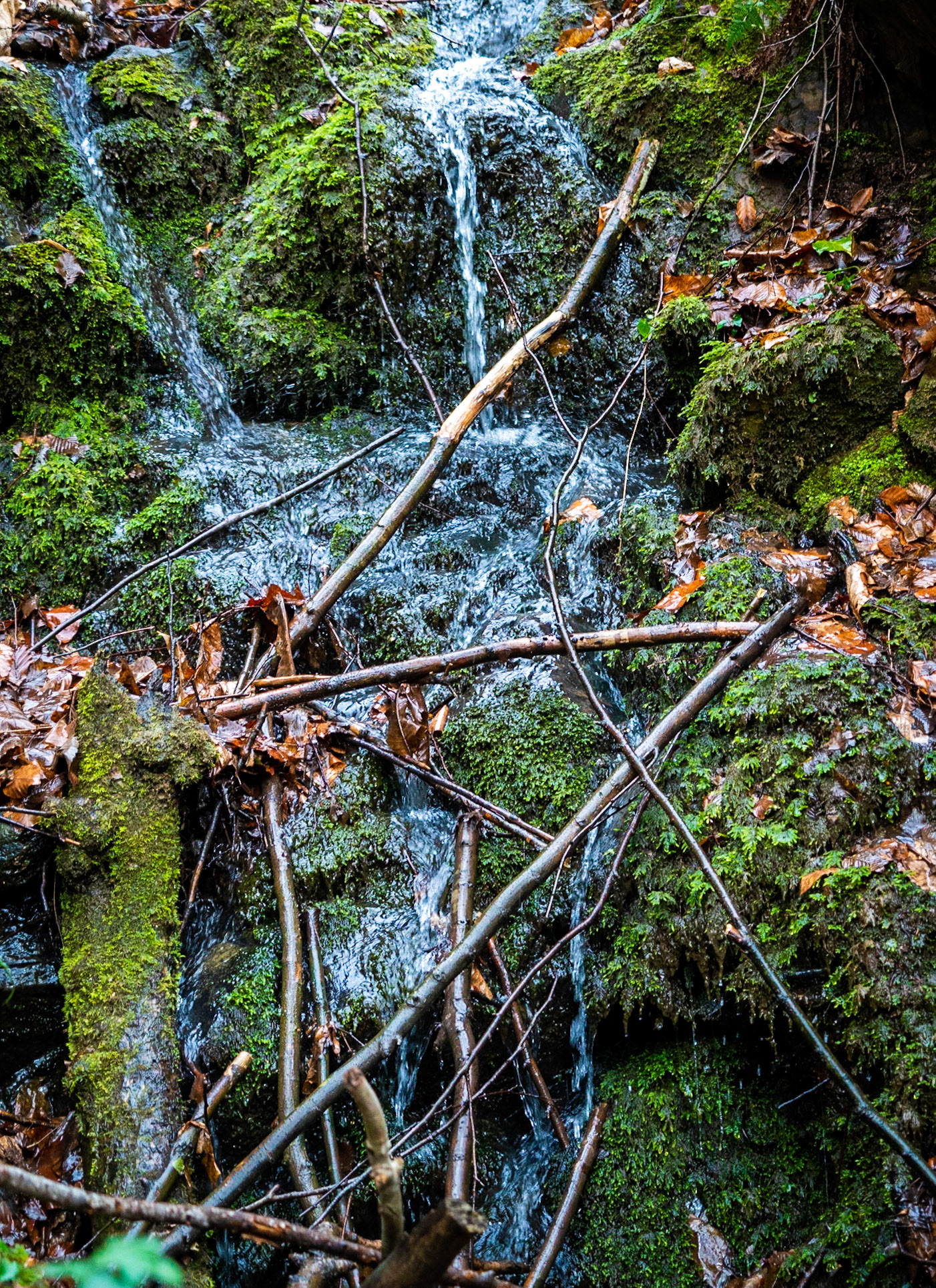 Kozu Deresi valleys: small waterfall
