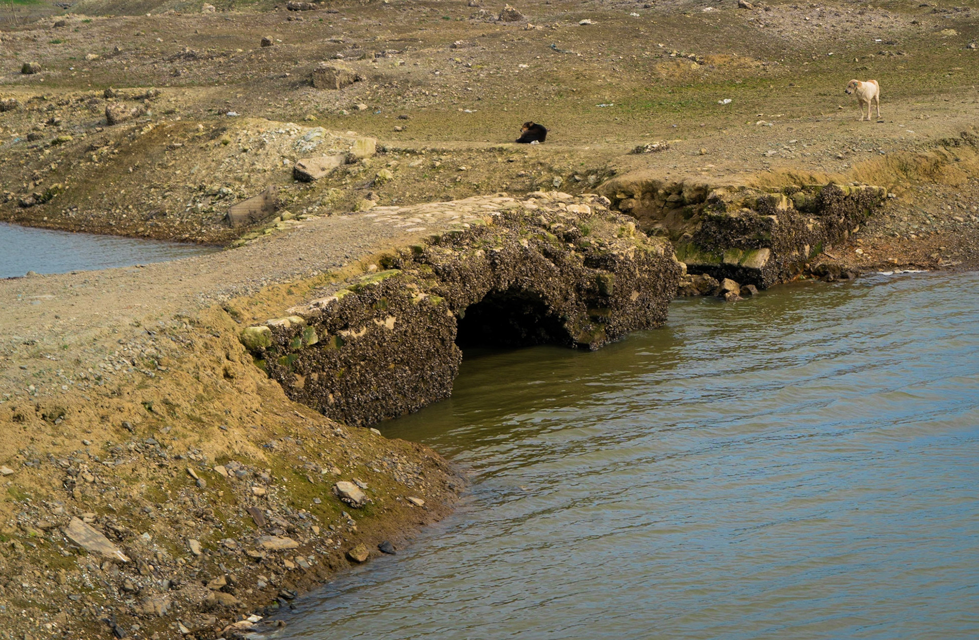 Şamlar: the long-submerged Ottoman bridge in the almost-dry Sazlıdere reservoir bed south of the village