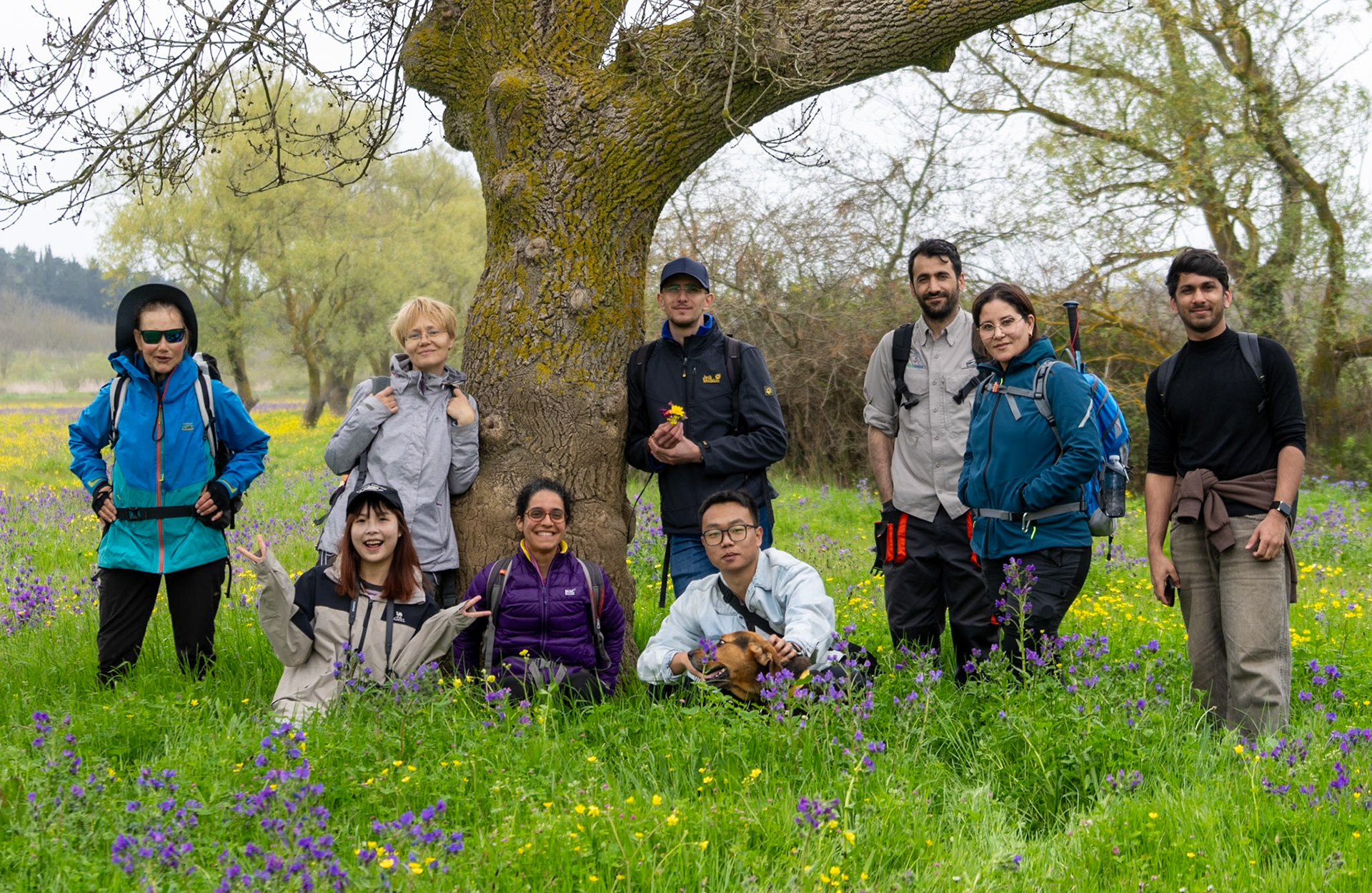 the first Sazlıdere flower meadow: today's hikers with daydog under the Hiking Istanbul oak