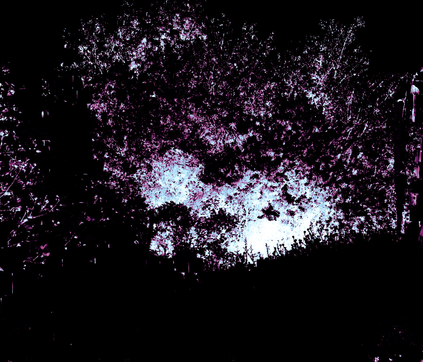 Yeniköy: abstract picture