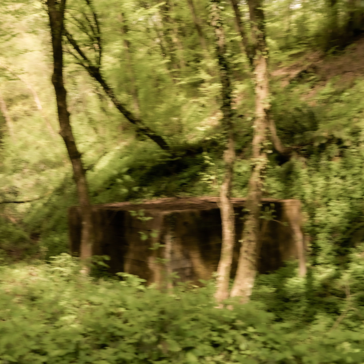 between Alemdaǧ and Reşadiye: abandoned structure in the firest