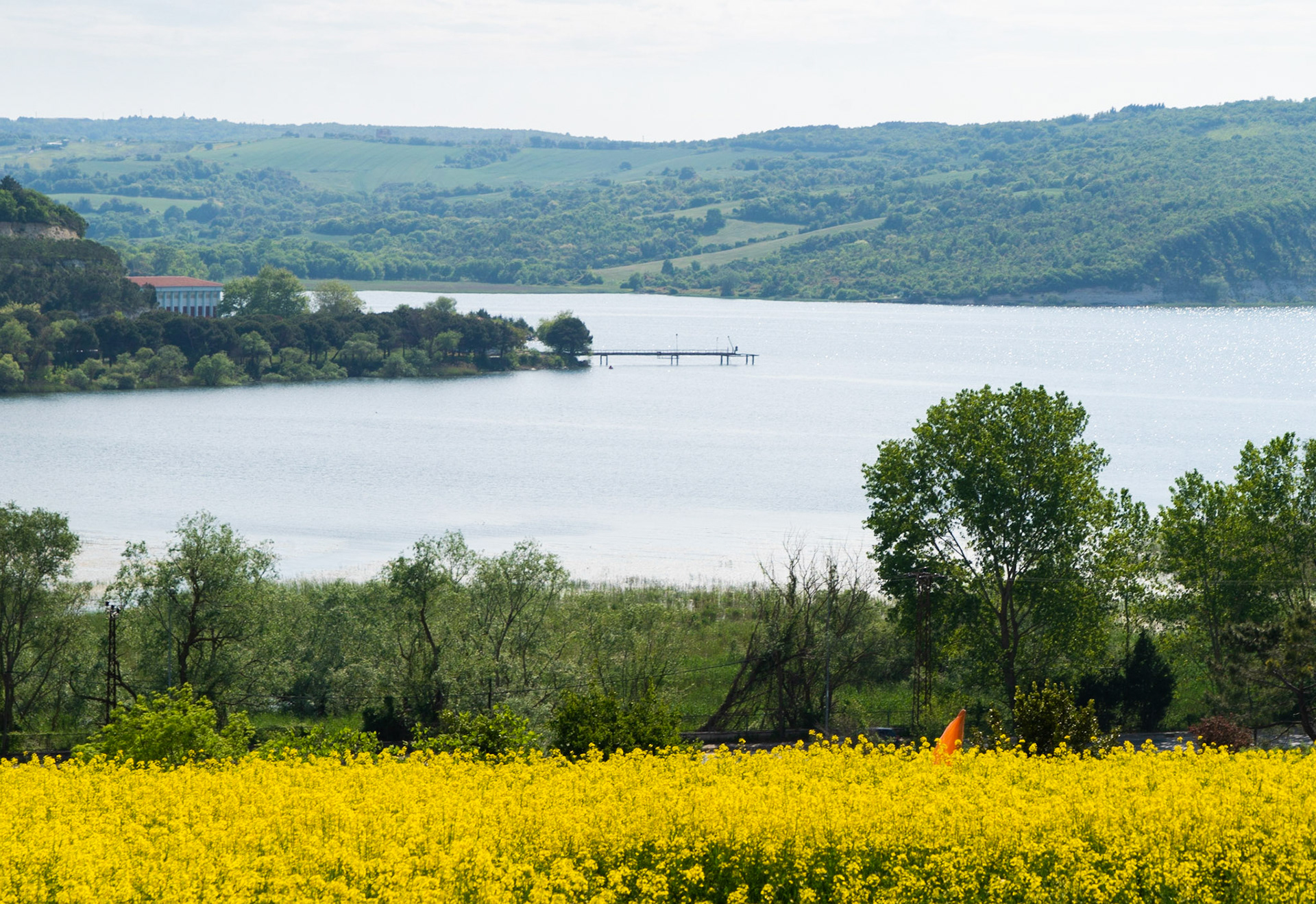 Trikos promontory: Terkos reservoir and a field of mustard (?) in flower
