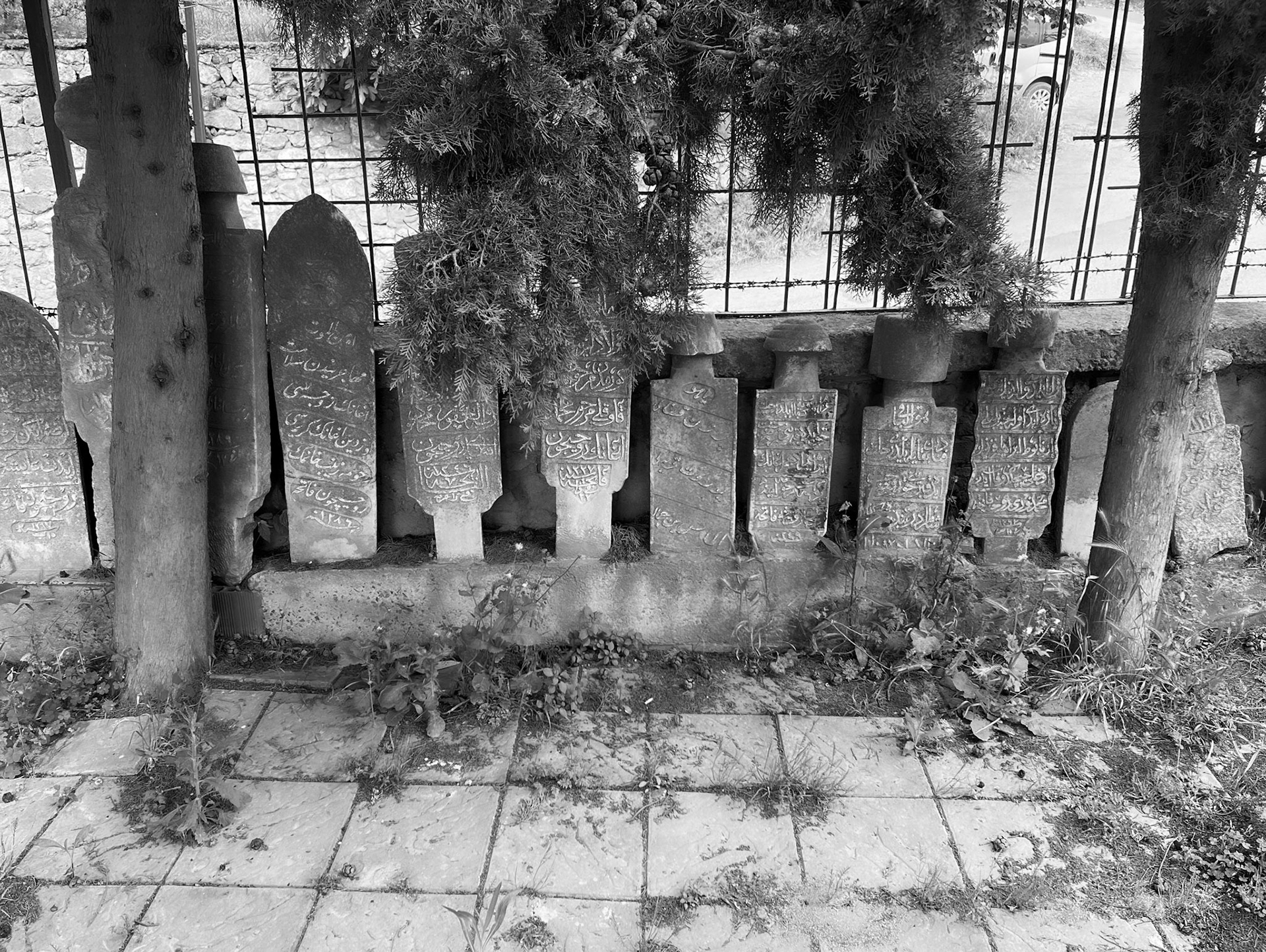 Şamlar Ottoman village: tombstones rescued from the old graveyard