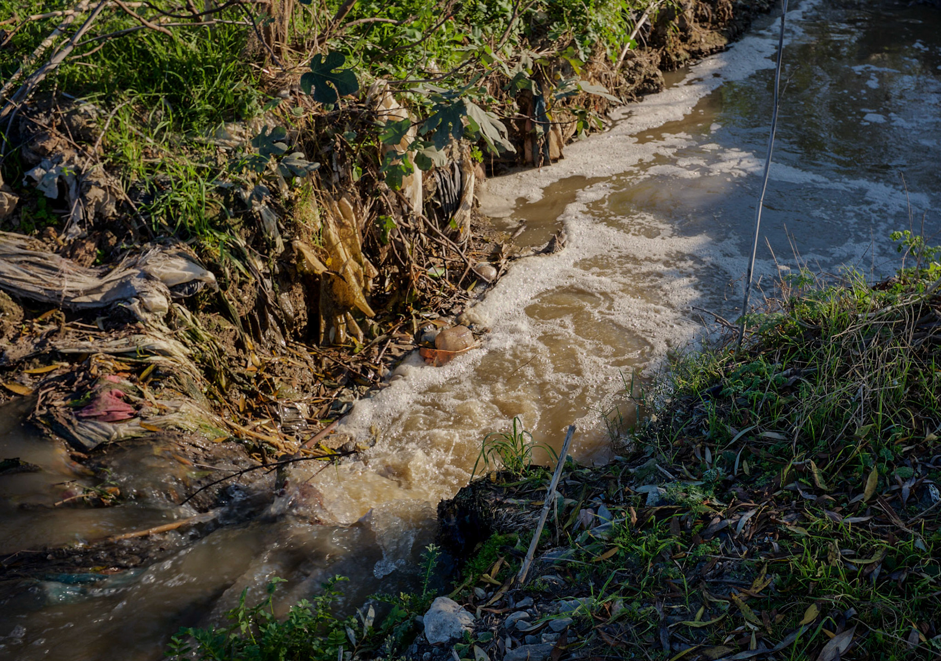 northwestern Küçükçekmece marsh: a foamy stream running into the lake