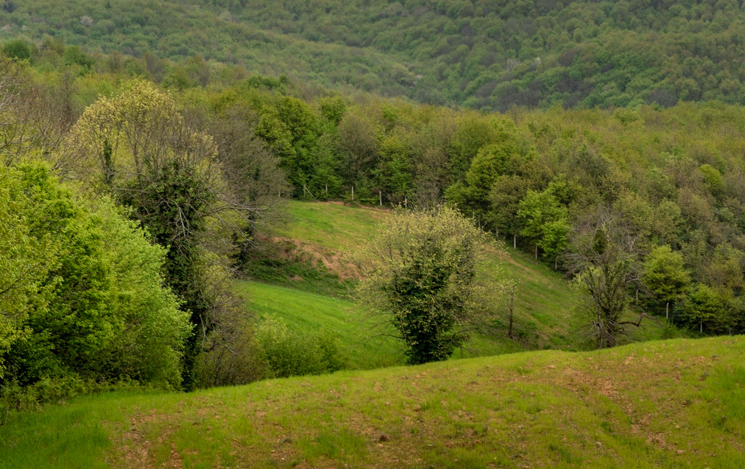 between Kılıçlı Köyü and İshaklıköy: spring landscape